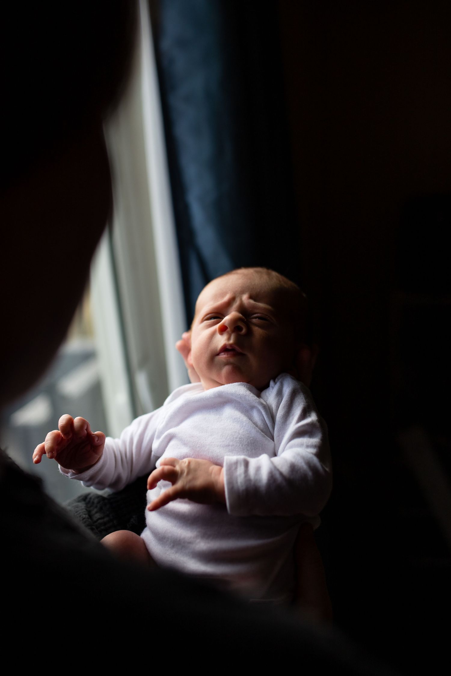 Regina Family Photographer specializing in family, maternity, graduation, couples & fall mini sessions in Regina and area.