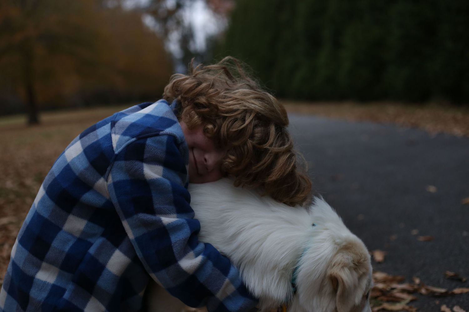 Child in plaid shirt hugging a white fluffy dog outdoors among fallen autumn leaves.