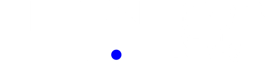 A single blue dot centered on a white background.