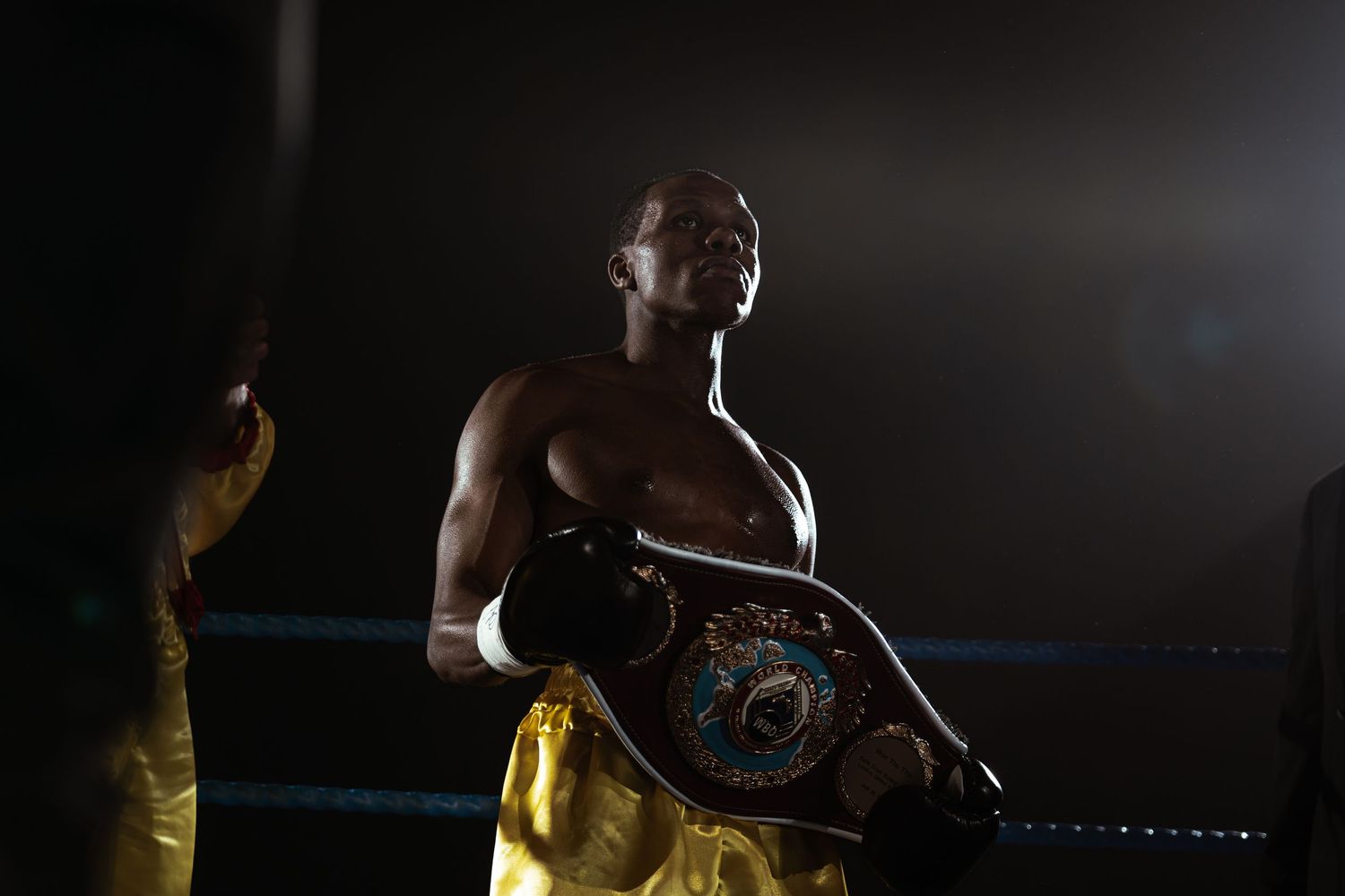 A muscular boxer wearing a championship belt and gold shorts stands triumphantly in a dark boxing ring.