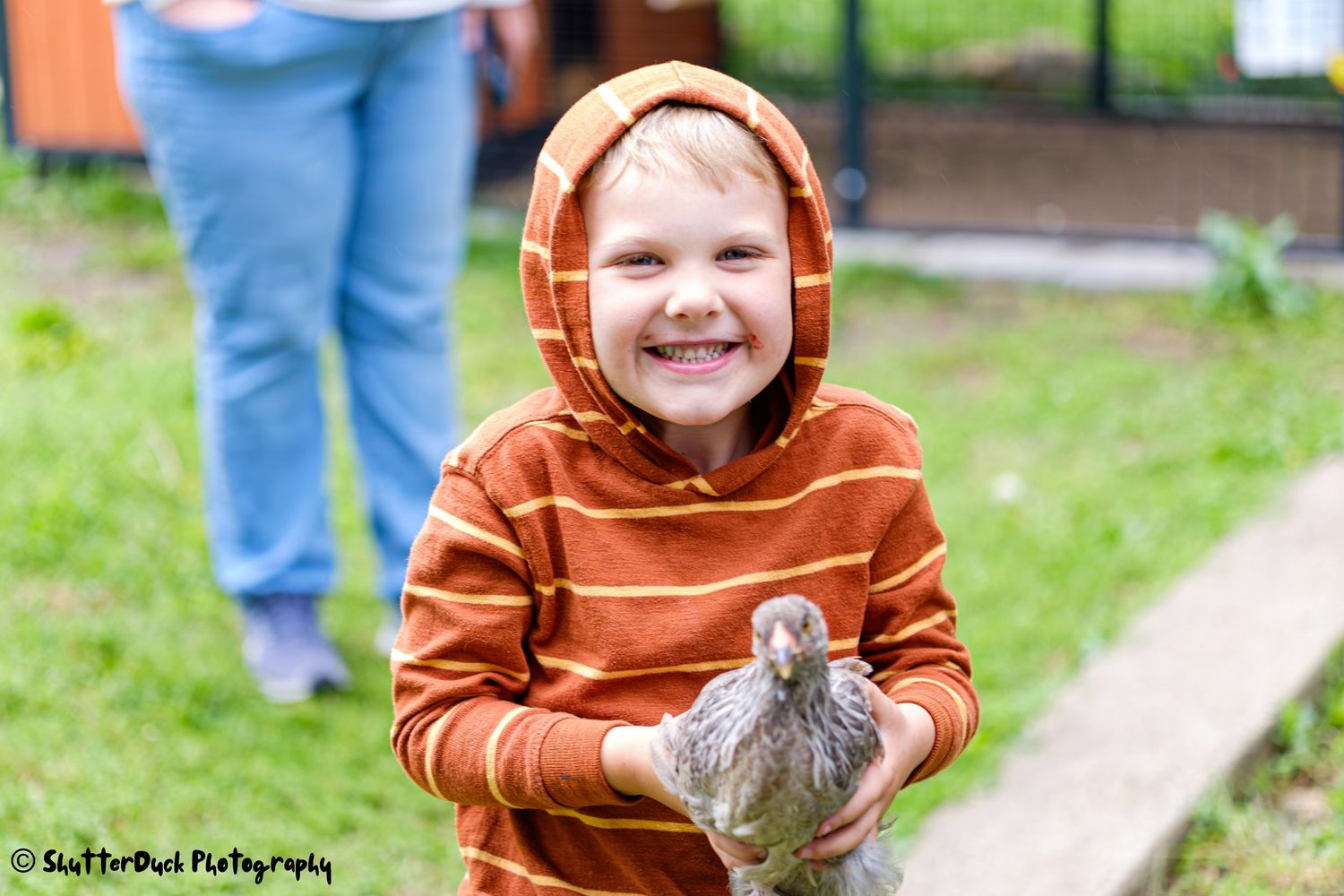Happy young boy in an orange striped hoodie holding a small chicken outdoors.