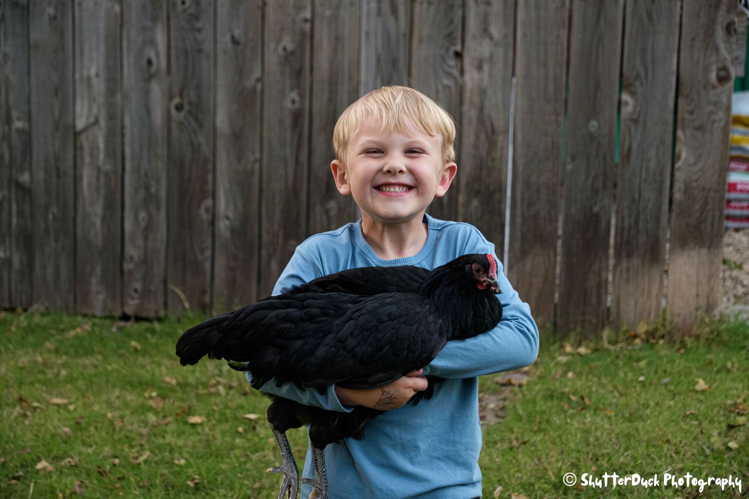 Smiling young boy proudly holding a black chicken in a backyard near a wooden fence.