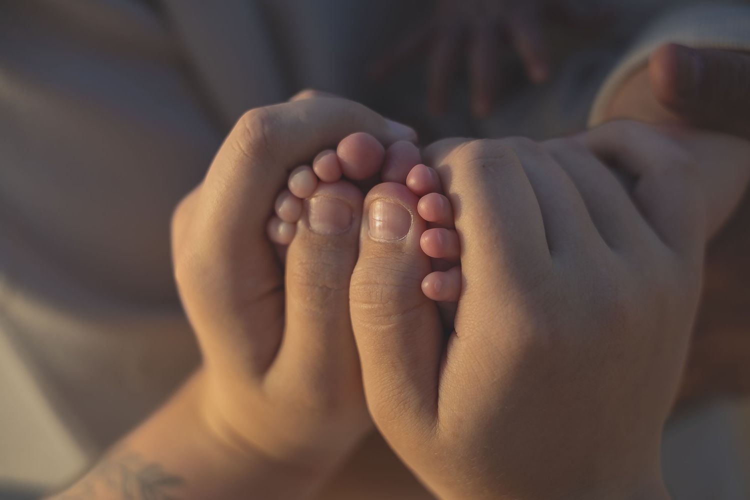 Close-up of adult hands gently cradling tiny newborn baby feet in soft warm light.