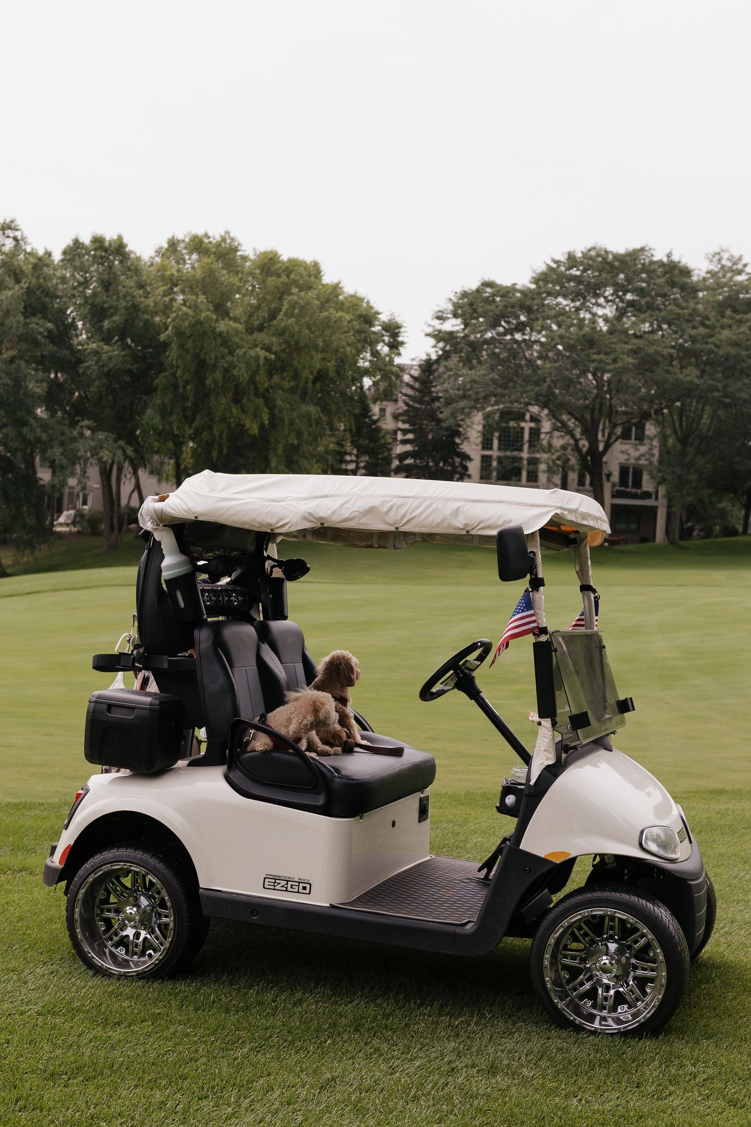 A small dog sits in a white E-Z-GO golf cart with an American flag on a lush green golf course.