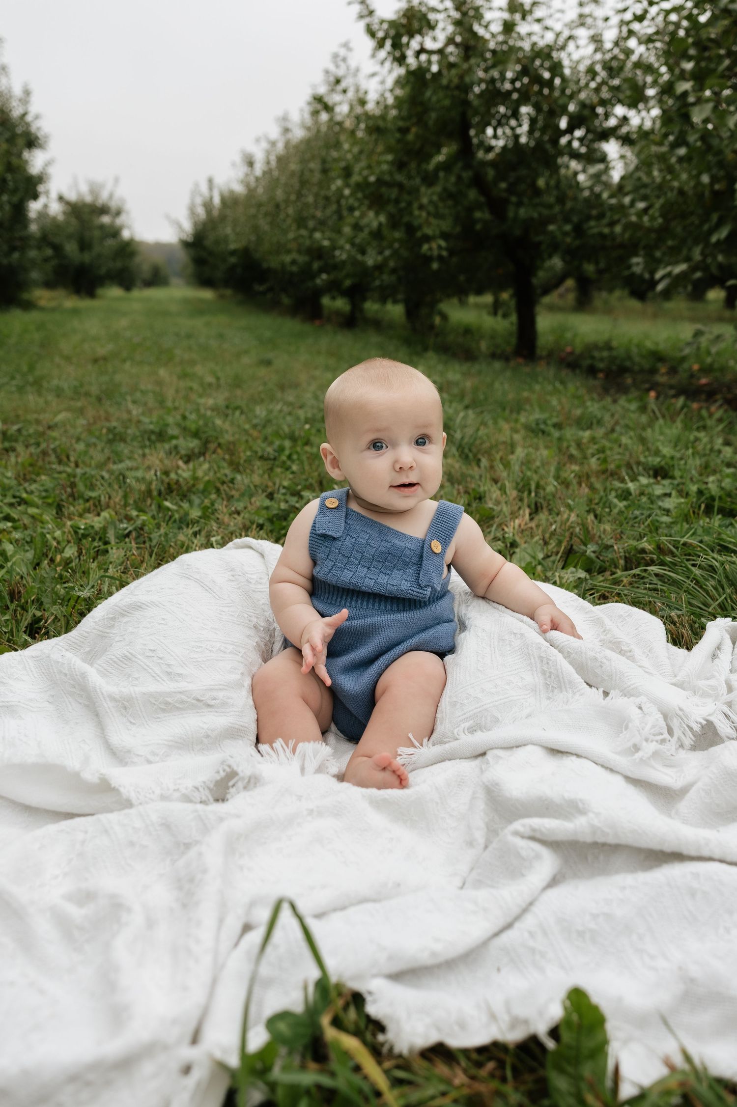 A baby in a blue knit romper sits on a white blanket in a lush green orchard, looking up curiously.