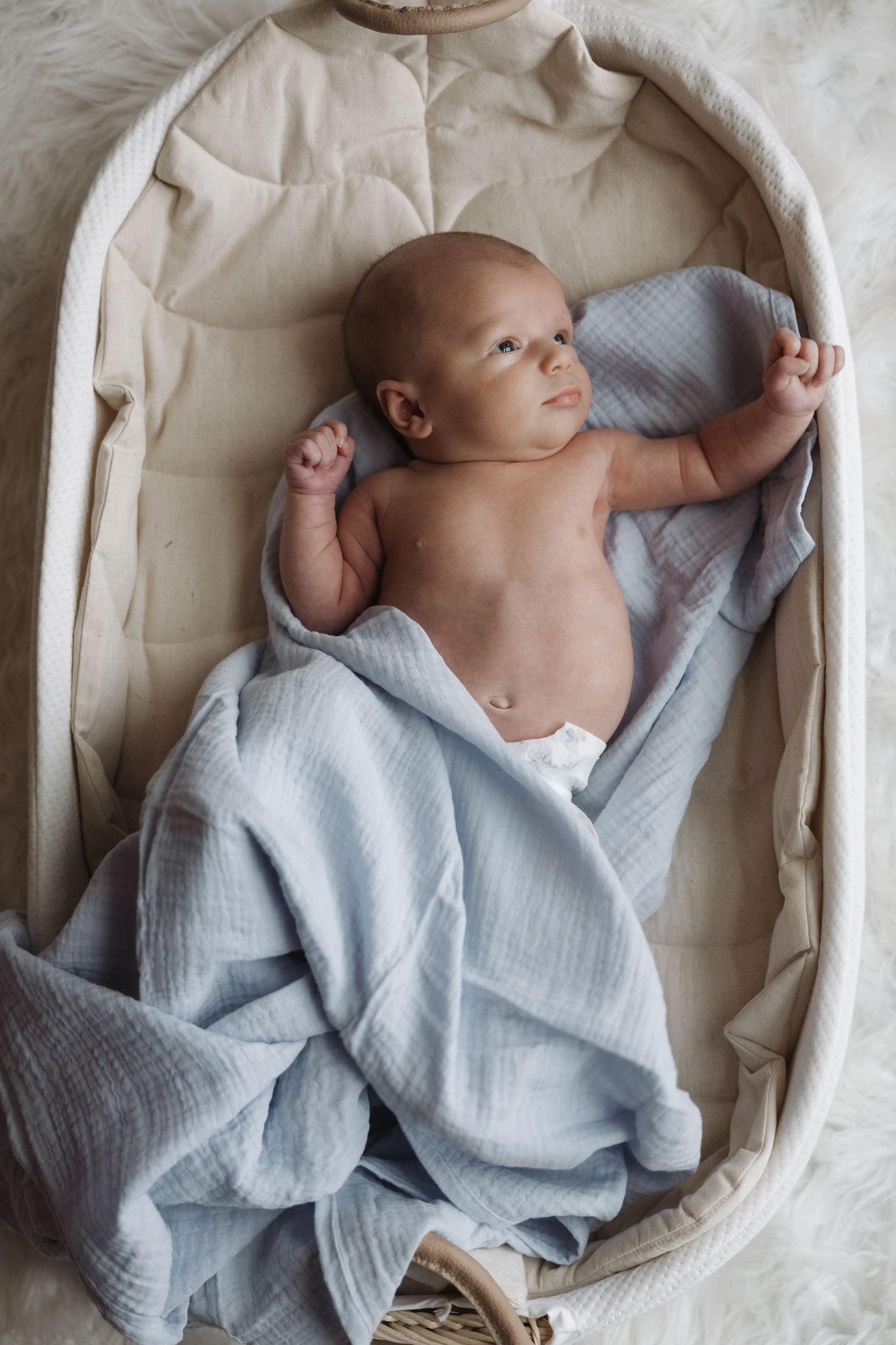 Newborn baby lying in a wicker Moses basket covered with a soft blue muslin blanket.