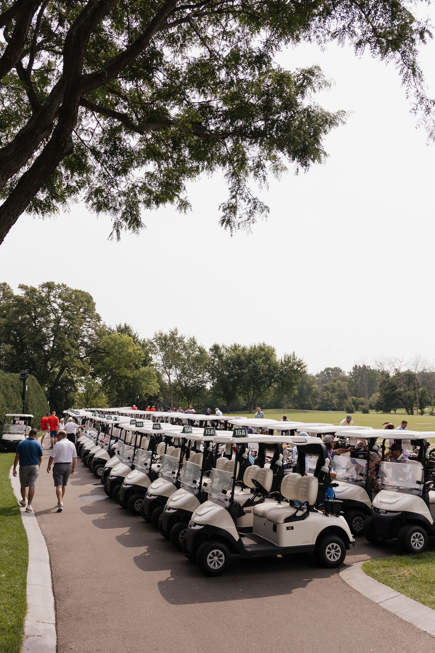 Long row of white golf carts lined up on a path at a golf course, surrounded by lush green trees.