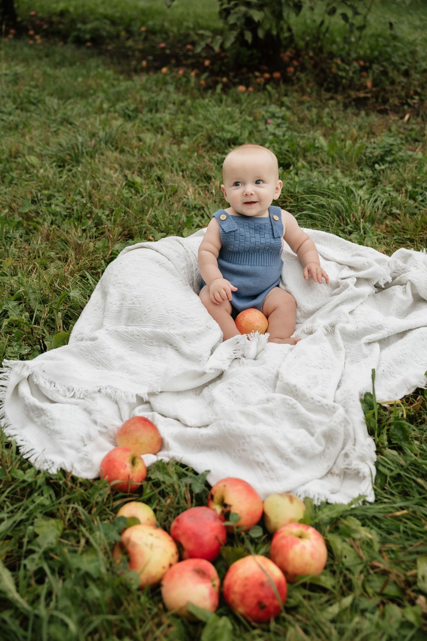 Baby in blue romper sits on white blanket outdoors surrounded by fresh red apples on green grass.