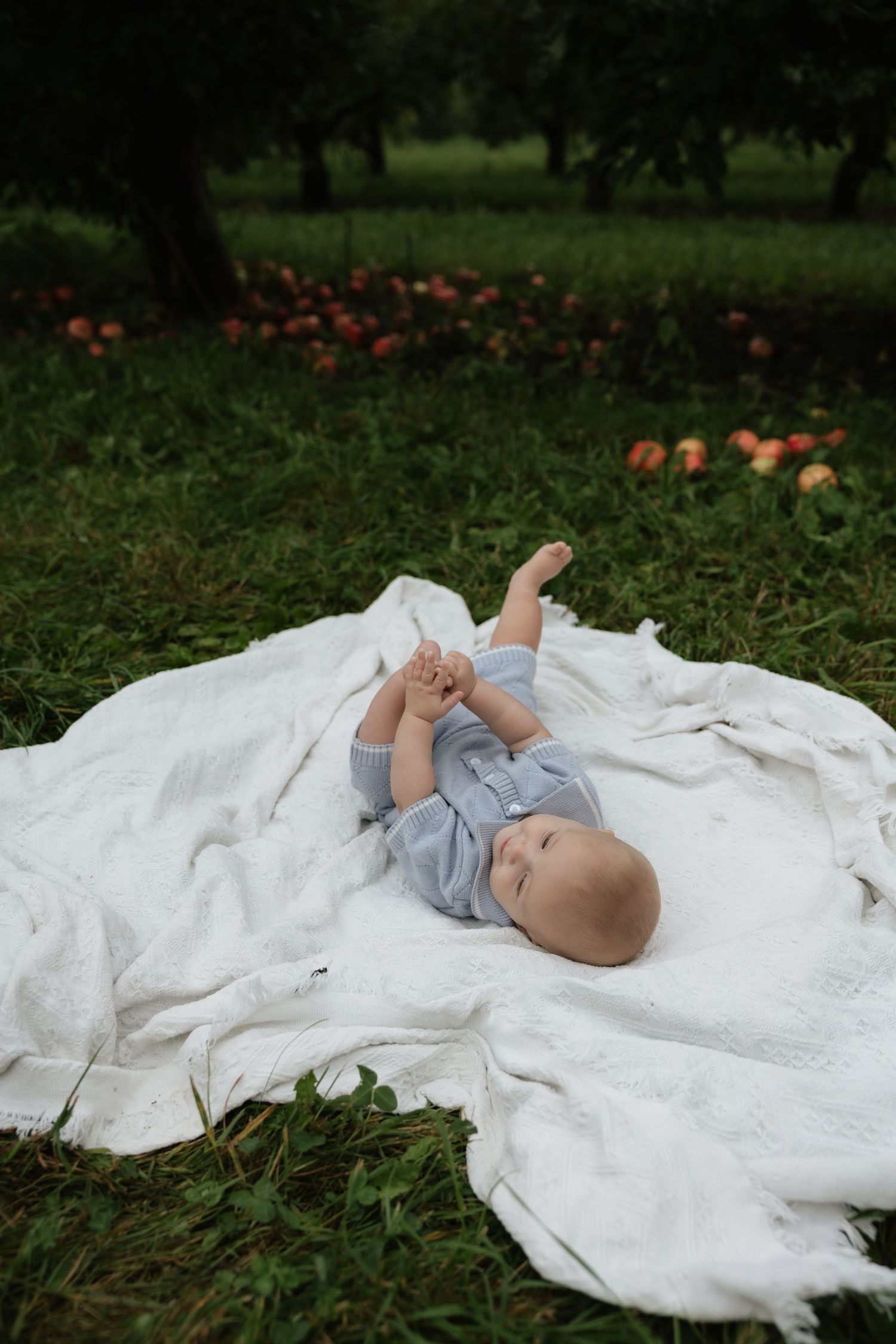 Baby in blue romper lying on white blanket on green grass in garden with apple trees and roses.
