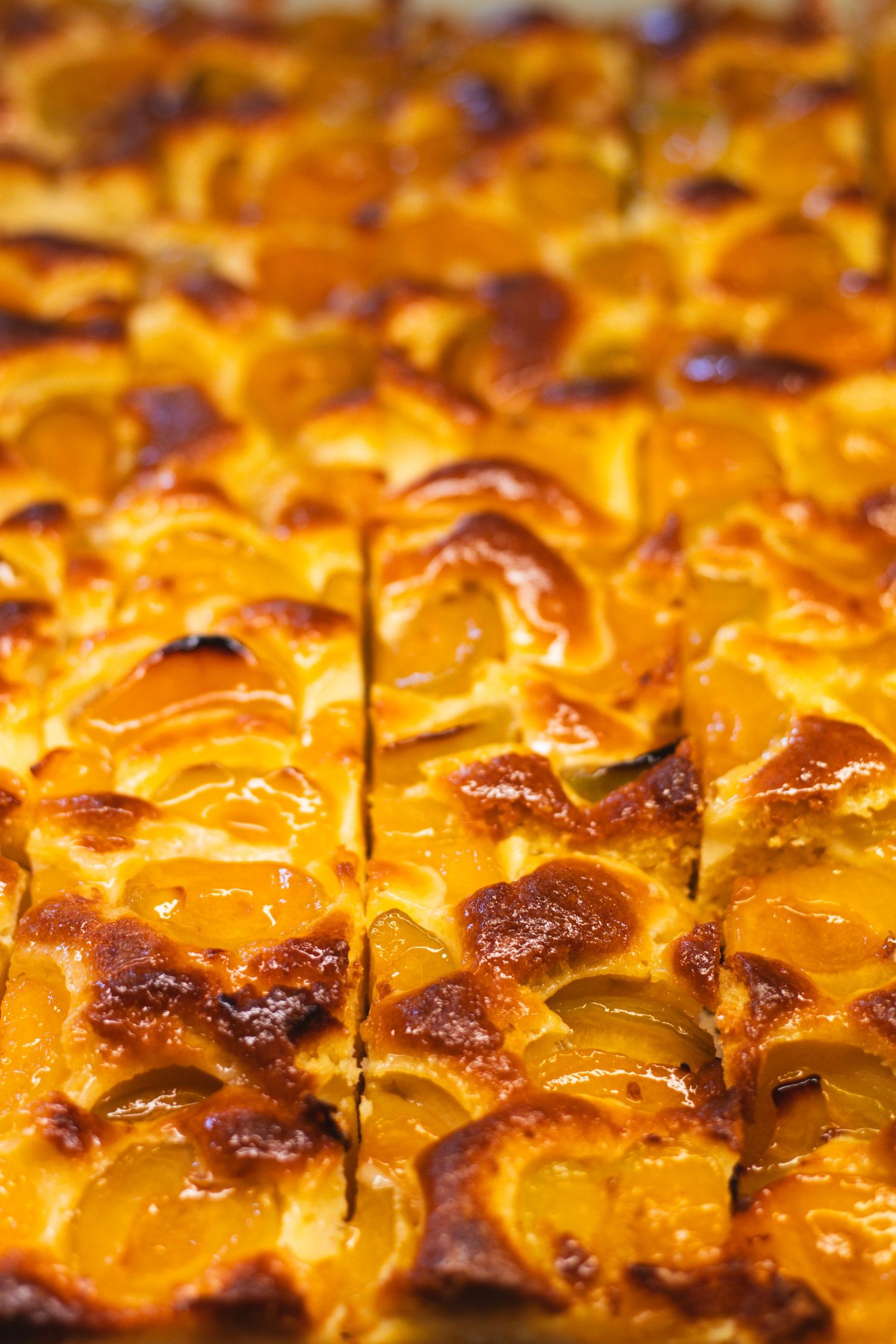 Marillenkuchen