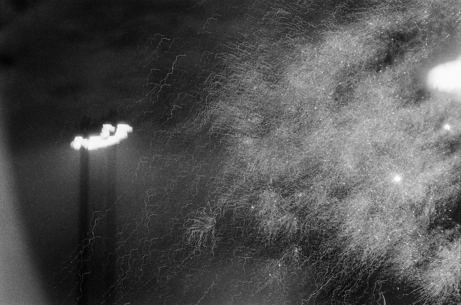 Black and white photo of stadium lights illuminating misty air and tree branches at night.
