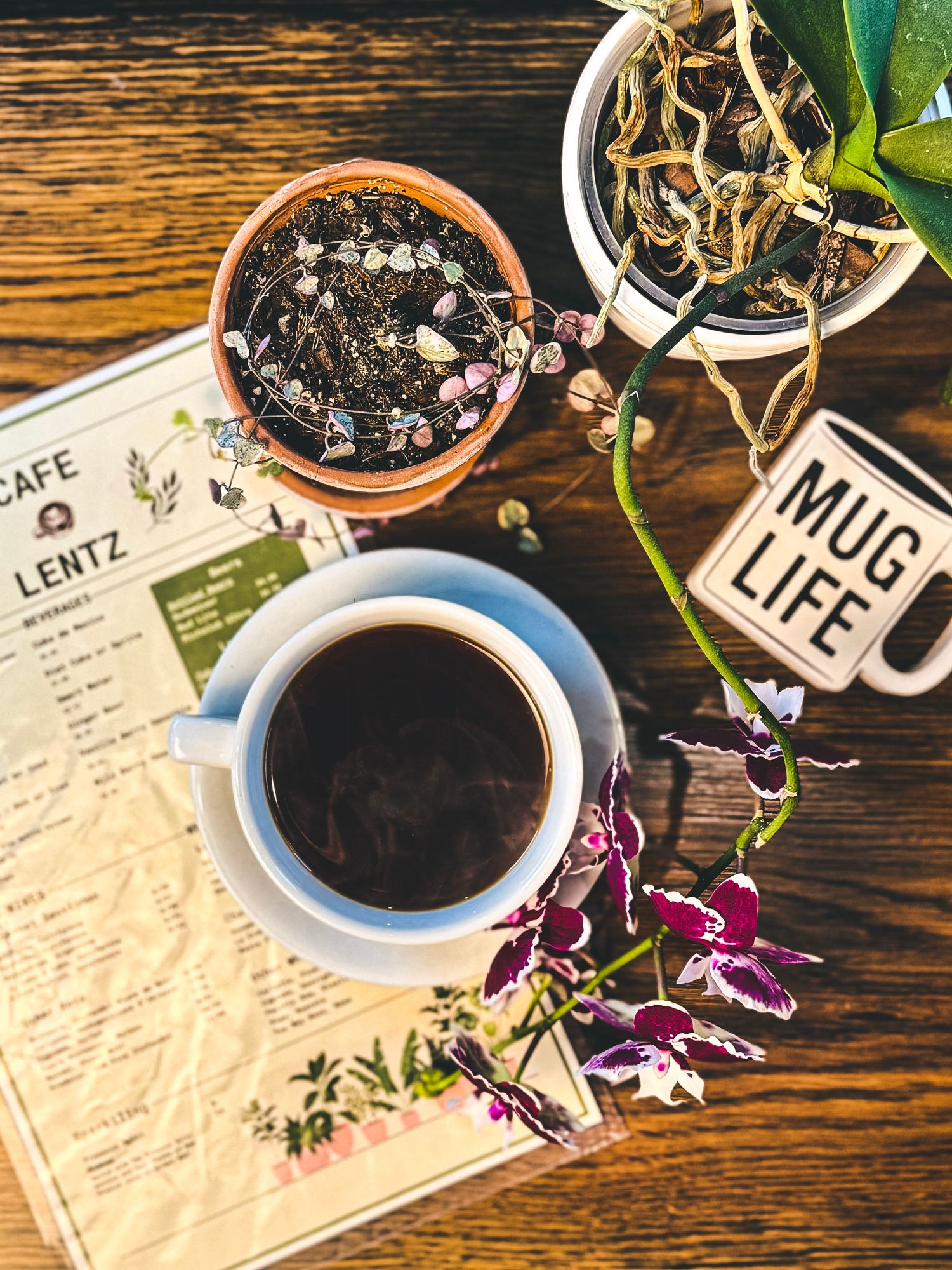 Coffee cup and cafe menu on wooden table with decorative potted plants.