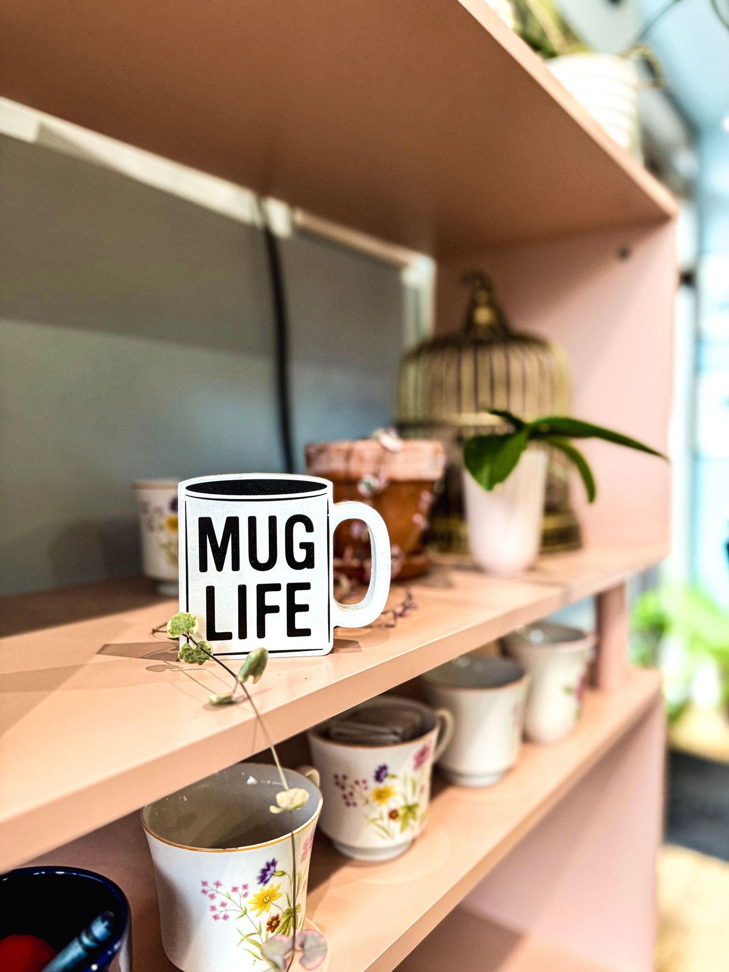 Collection of mugs including 'Mug Life' cup displayed on pink shelving with decorative plants.