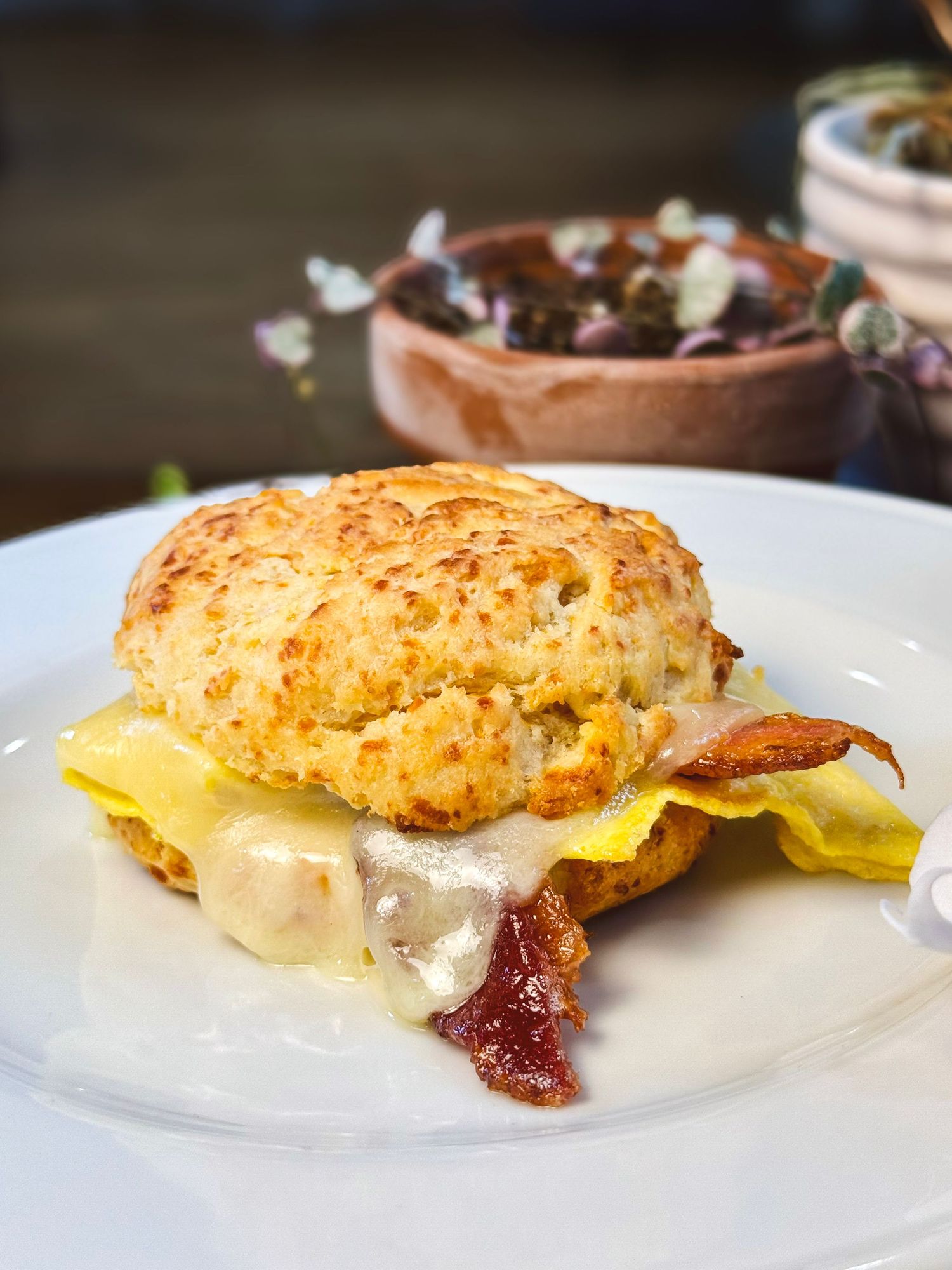 Breakfast sandwich with eggs, bacon and cheese on a flaky biscuit served on a white plate.