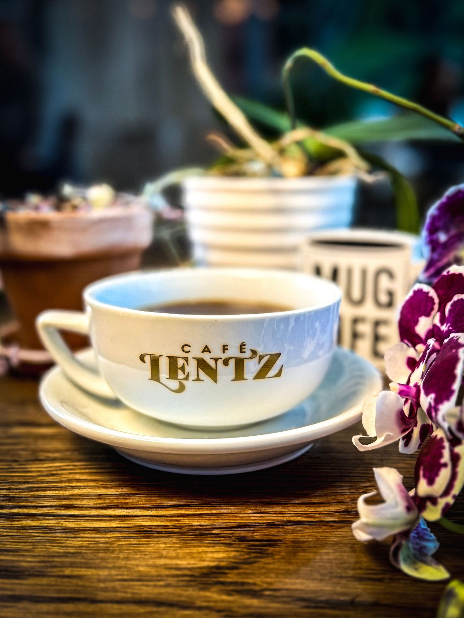 Tentz branded coffee cup with saucer next to purple orchids on wooden table.