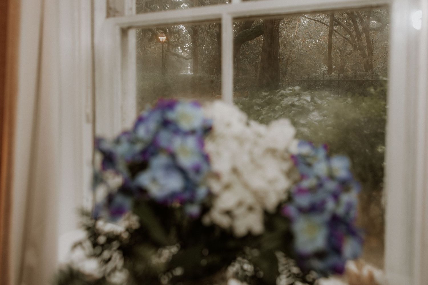 Soft focus artistic photo of purple and white hydrangeas by a window.