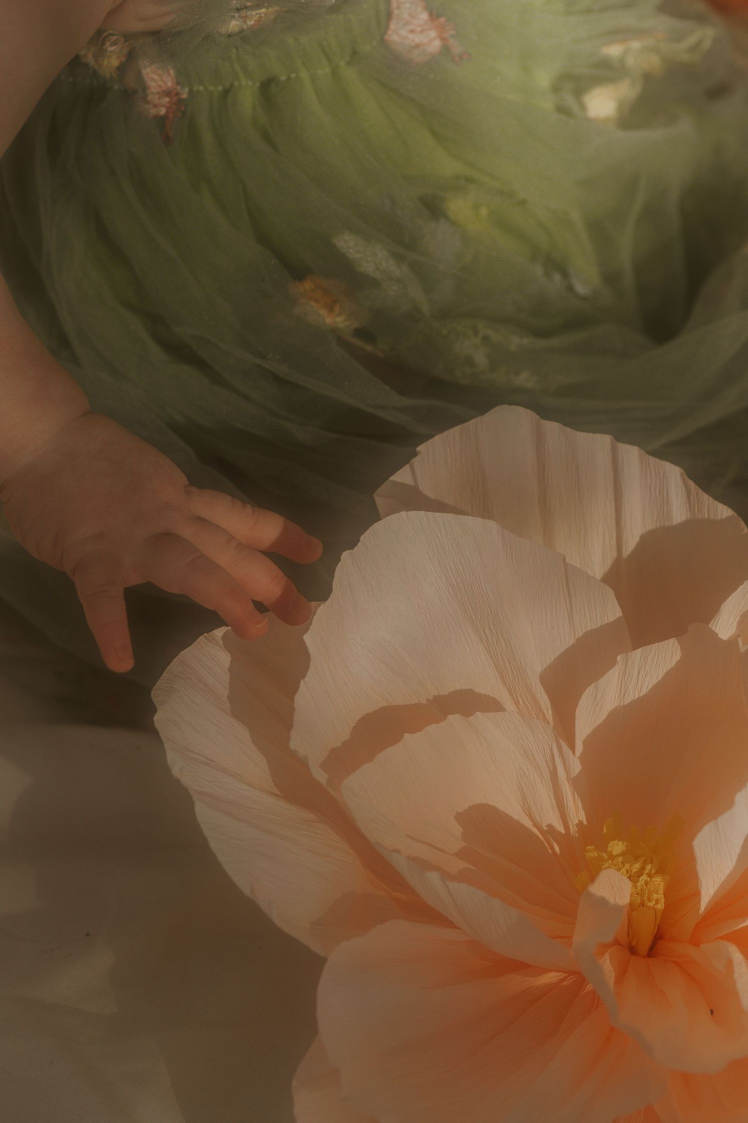 Artistic close-up of peach flower petals with soft green fabric in background.
