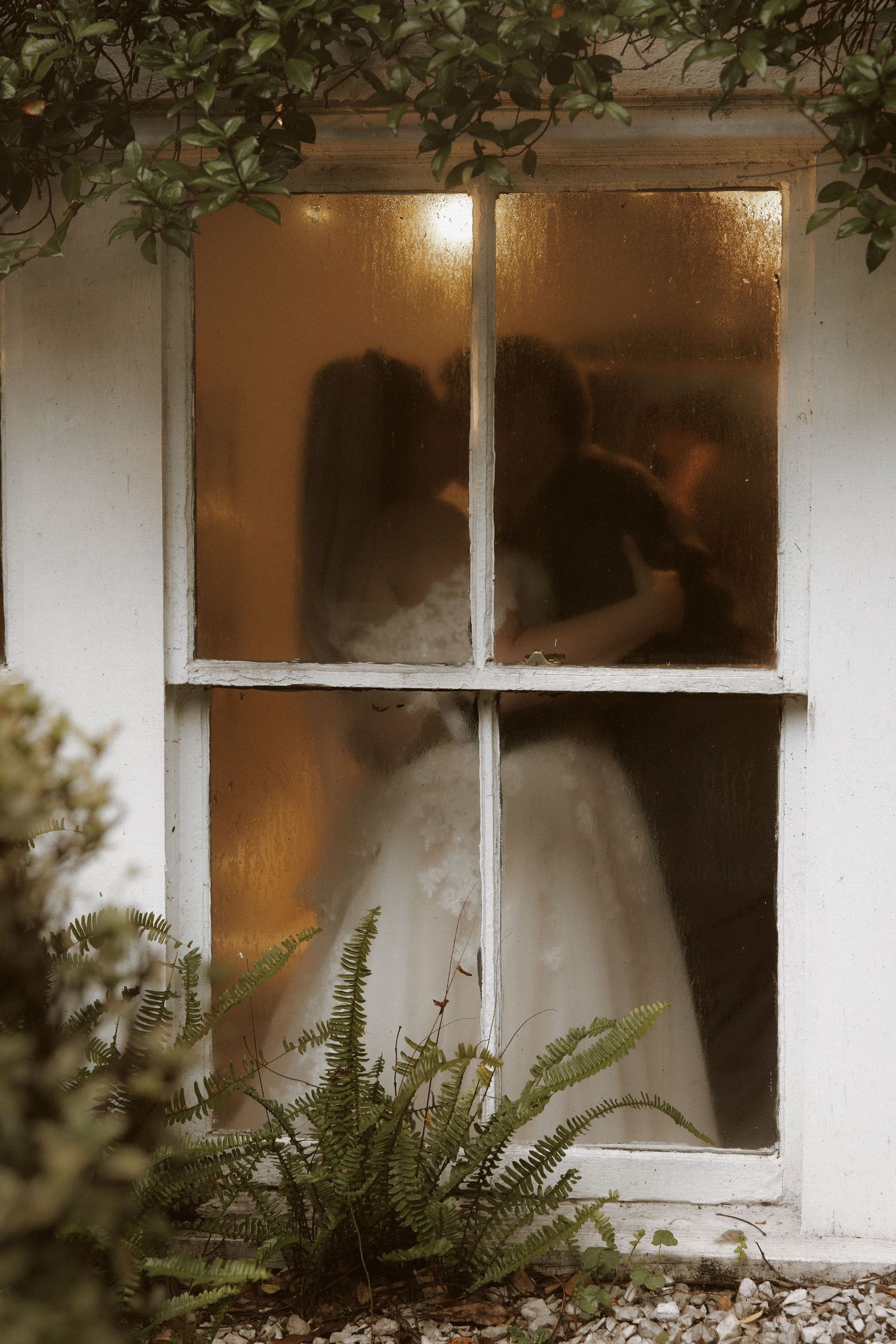 A mysterious silhouette visible through a foggy window pane with ferns growing outside creates an ethereal atmosphere.