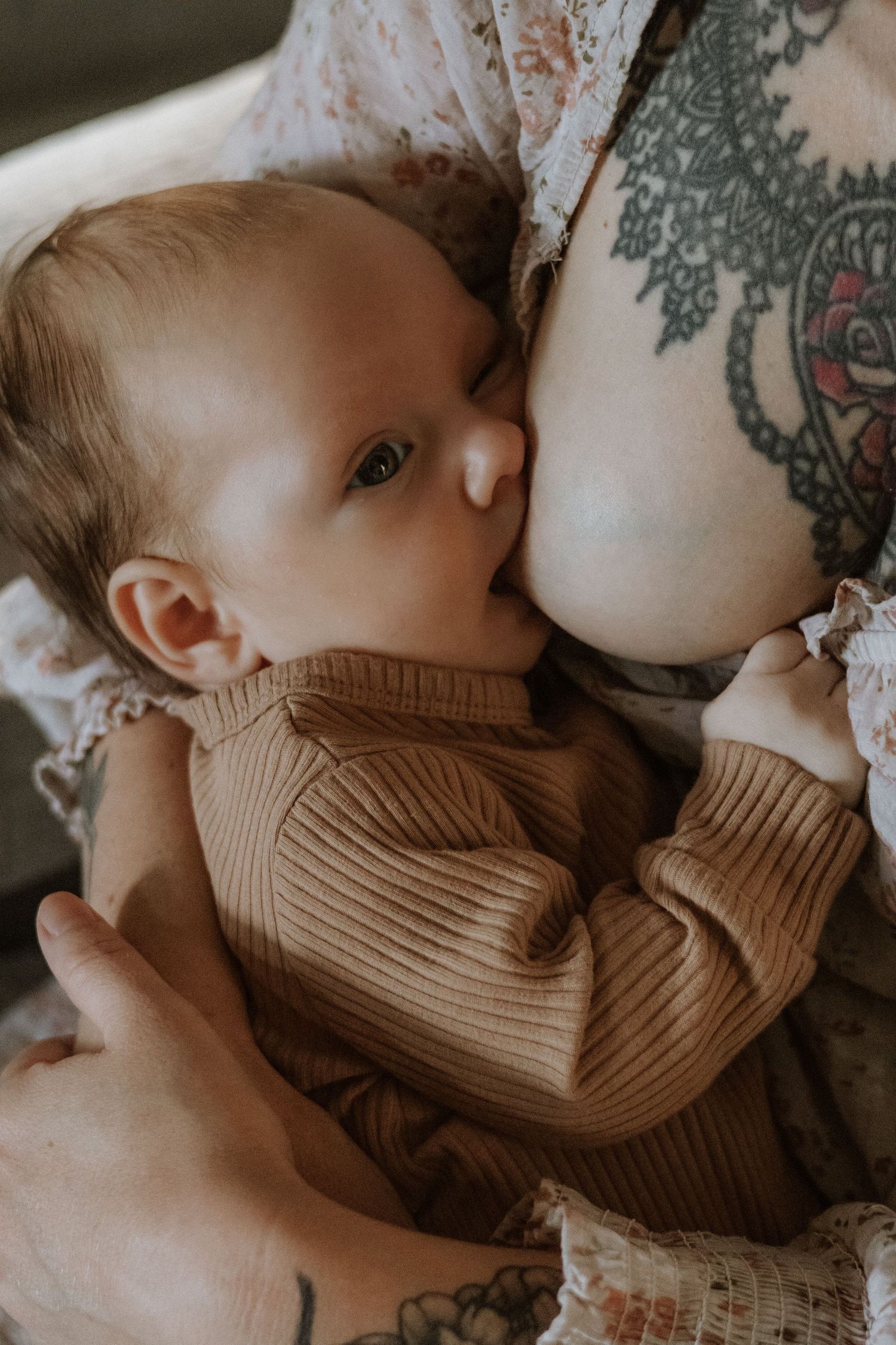 An intimate breastfeeding moment captured in soft natural light showing nurturing and bonding.