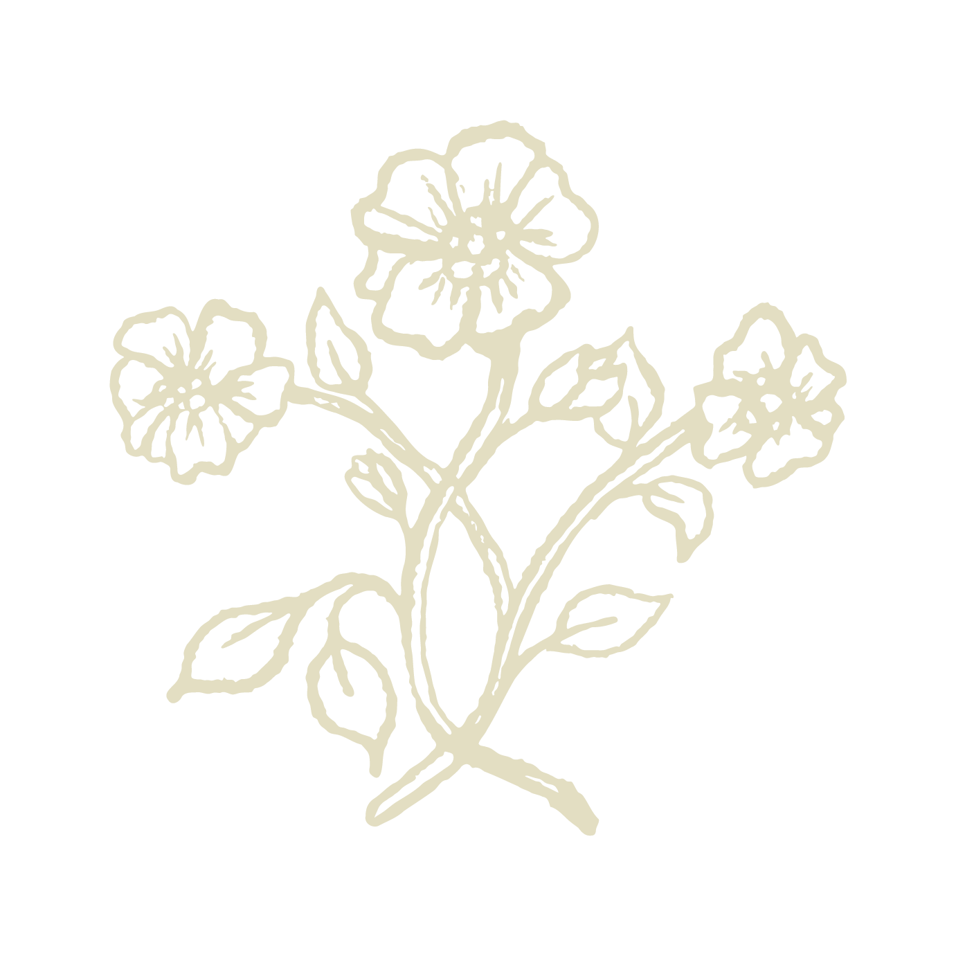 Delicate hand-drawn floral pattern with simple line art flowers and leaves in a light beige color.