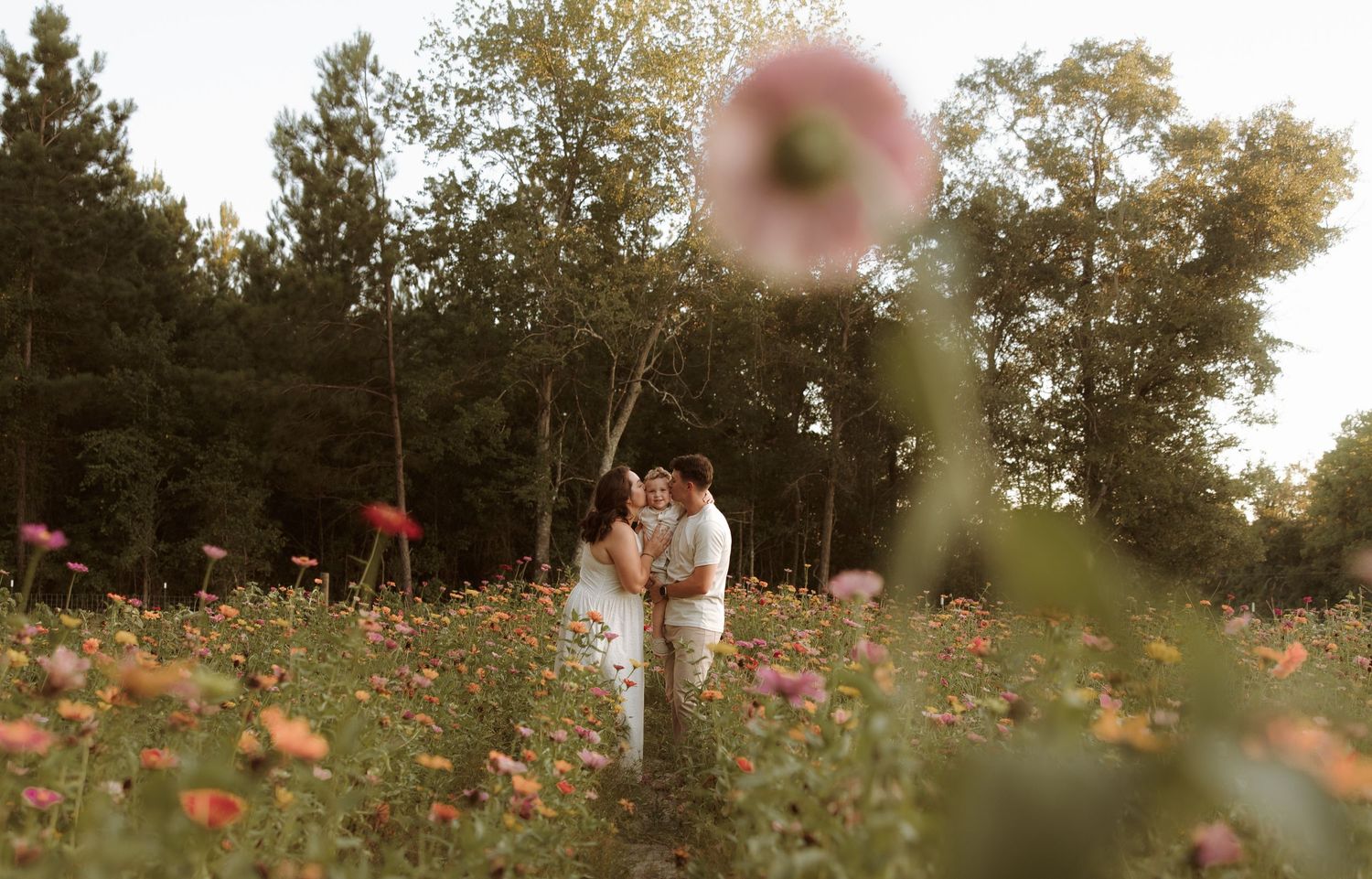 Couple sharing a romantic kiss in a blooming flower field with lush green trees in the background.