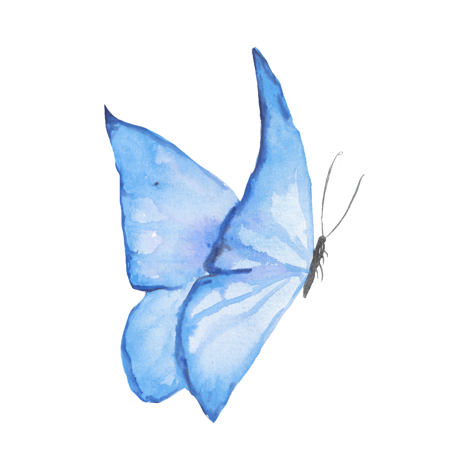 A delicate light blue butterfly painted in watercolor style with translucent wings viewed from the side profile.
