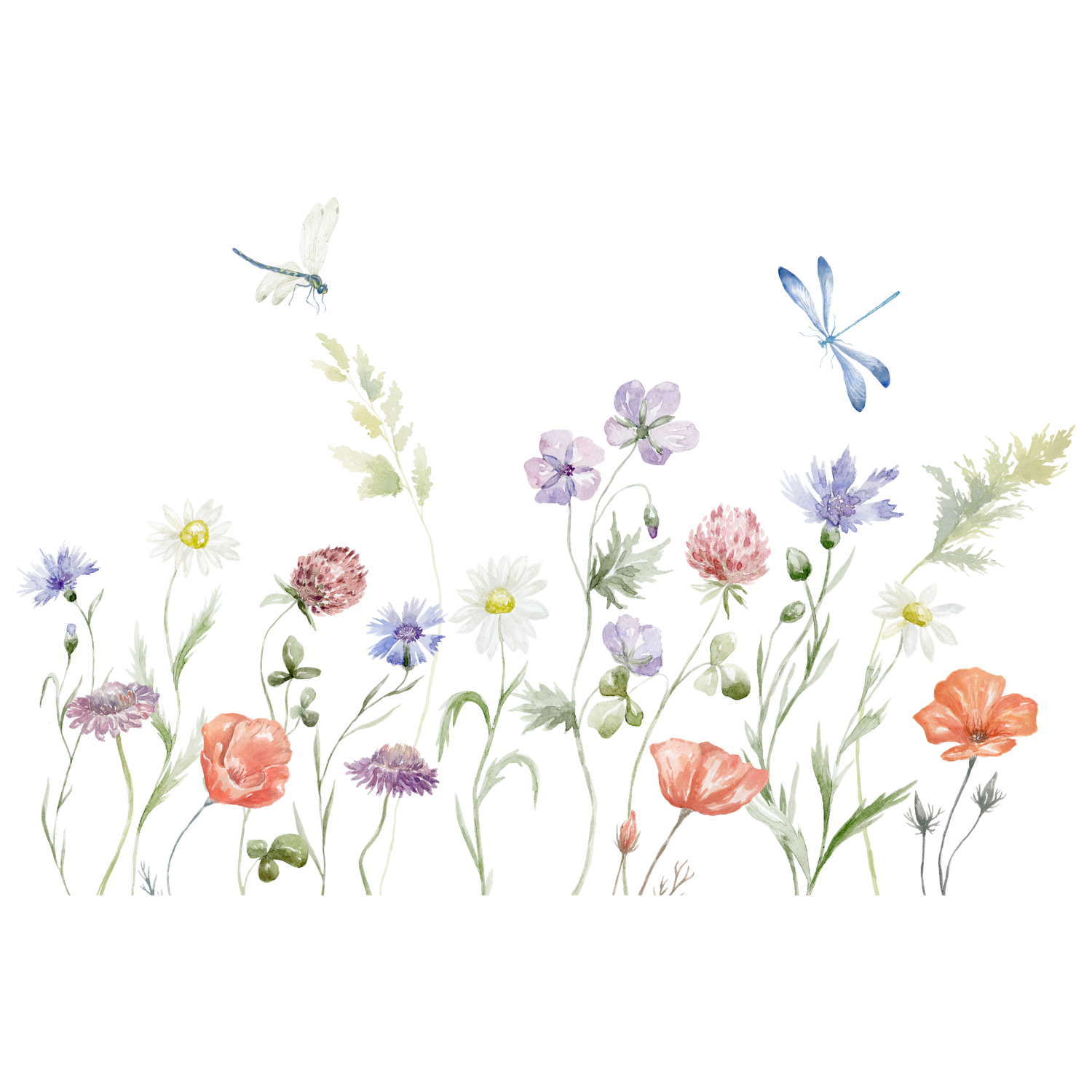 Delicate watercolor garden design with wildflowers, poppies, dragonfly and meadow blooms in soft pastel colors.