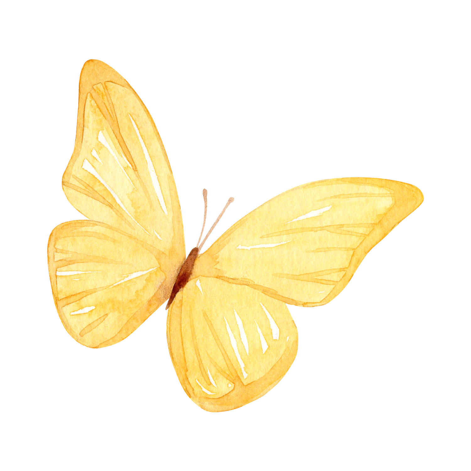 A delicate watercolor illustration of a yellow butterfly with soft, translucent wings and thin brown antennae.
