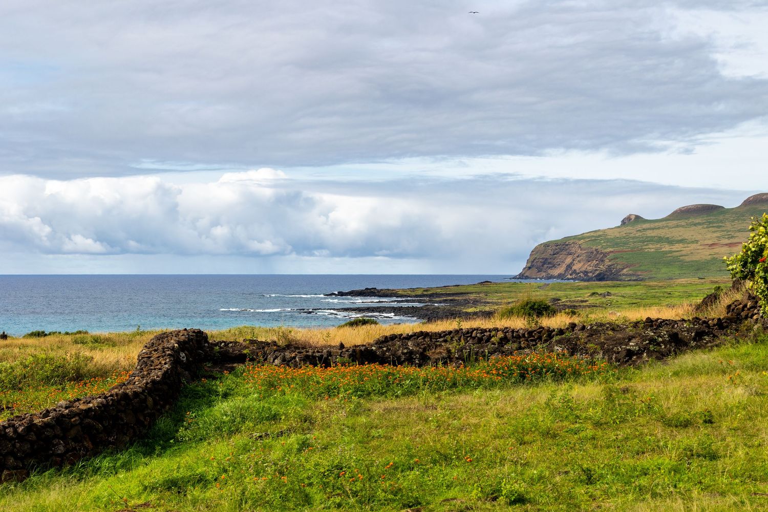 Dramatic coastal landscape in Northern Ireland with stone walls across green fields leading to rocky shoreline under cloudy skies.
