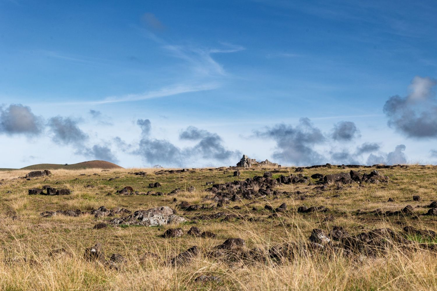 Panoramic view of rugged coastal cliffs and rolling grasslands under a blue sky with scattered white clouds.
