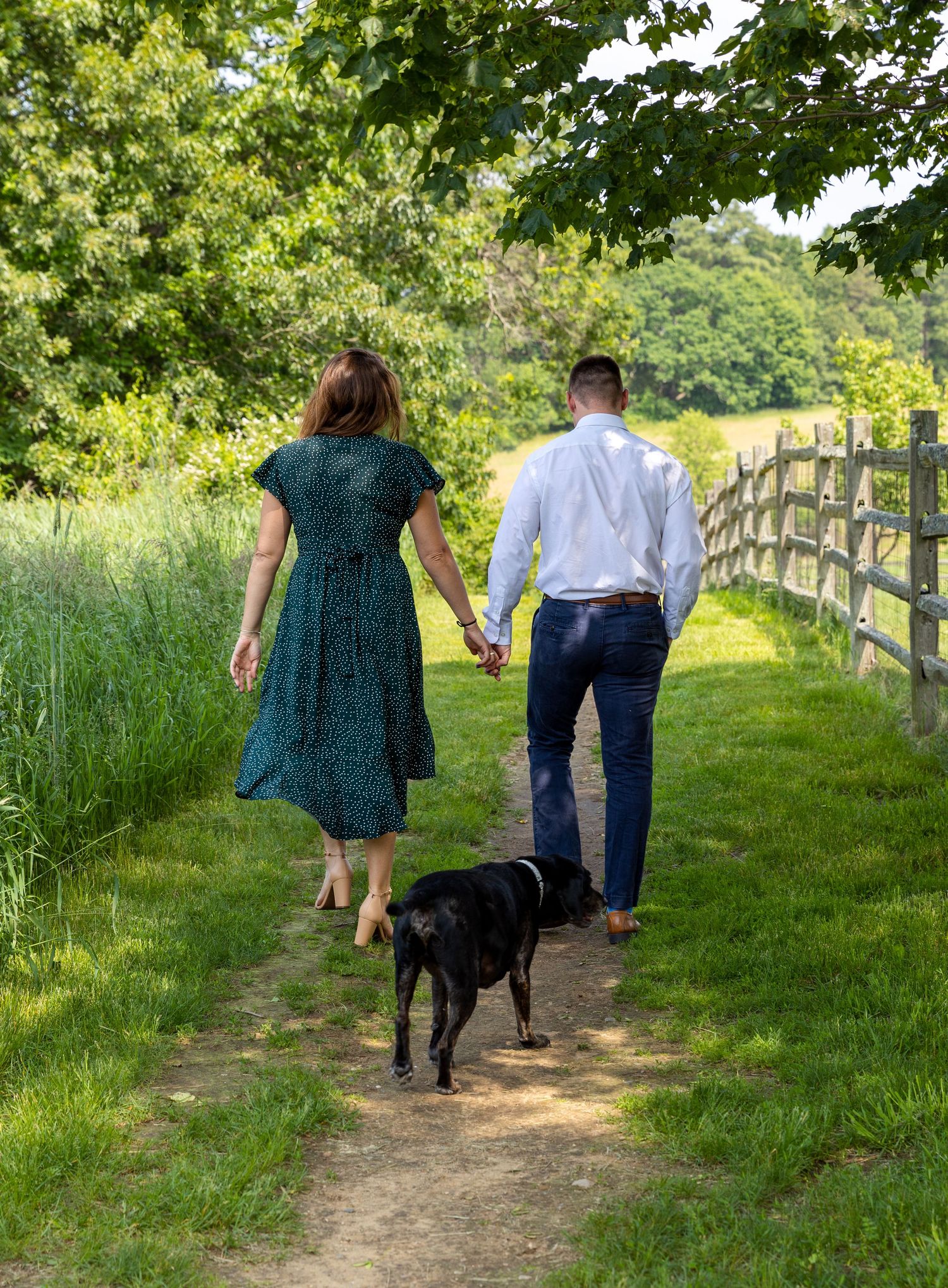 People walking with their dog along a scenic grassy path bordered by tall cattails and a rustic wooden fence.