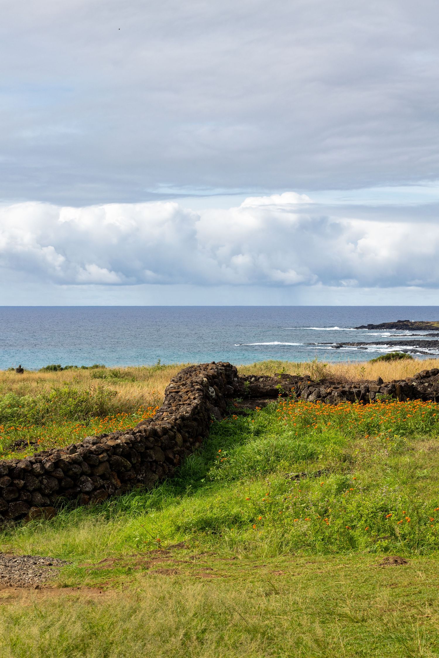 A stone wall runs along the grassy coastal cliffs overlooking a dramatic seascape with cloudy skies in Ireland.