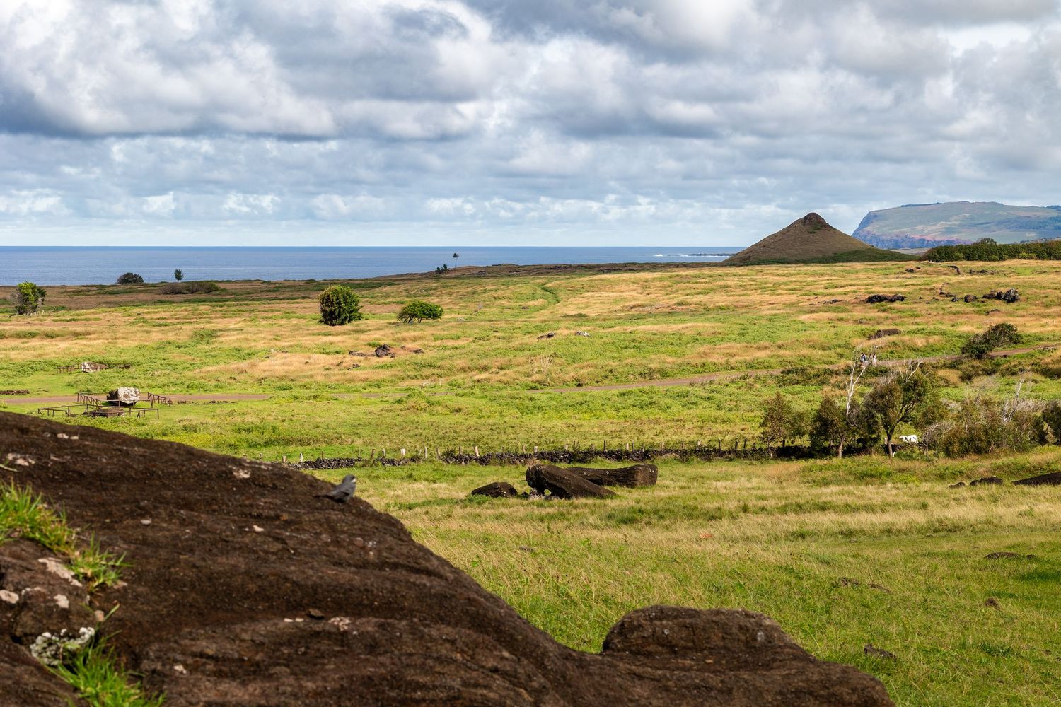 Panoramic view of rolling green hills and moorland under cloudy skies stretches across a rugged Scottish landscape.