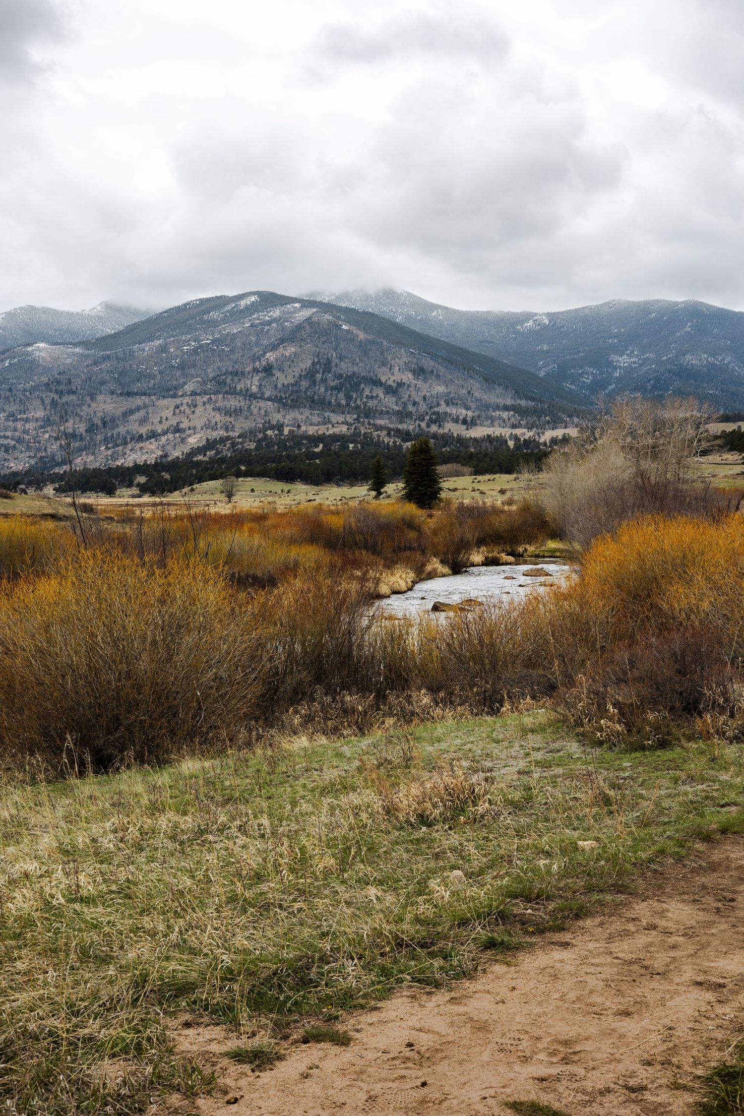 Scenic mountain landscape with yellow brush and a winding trail through rugged terrain on a cloudy day.