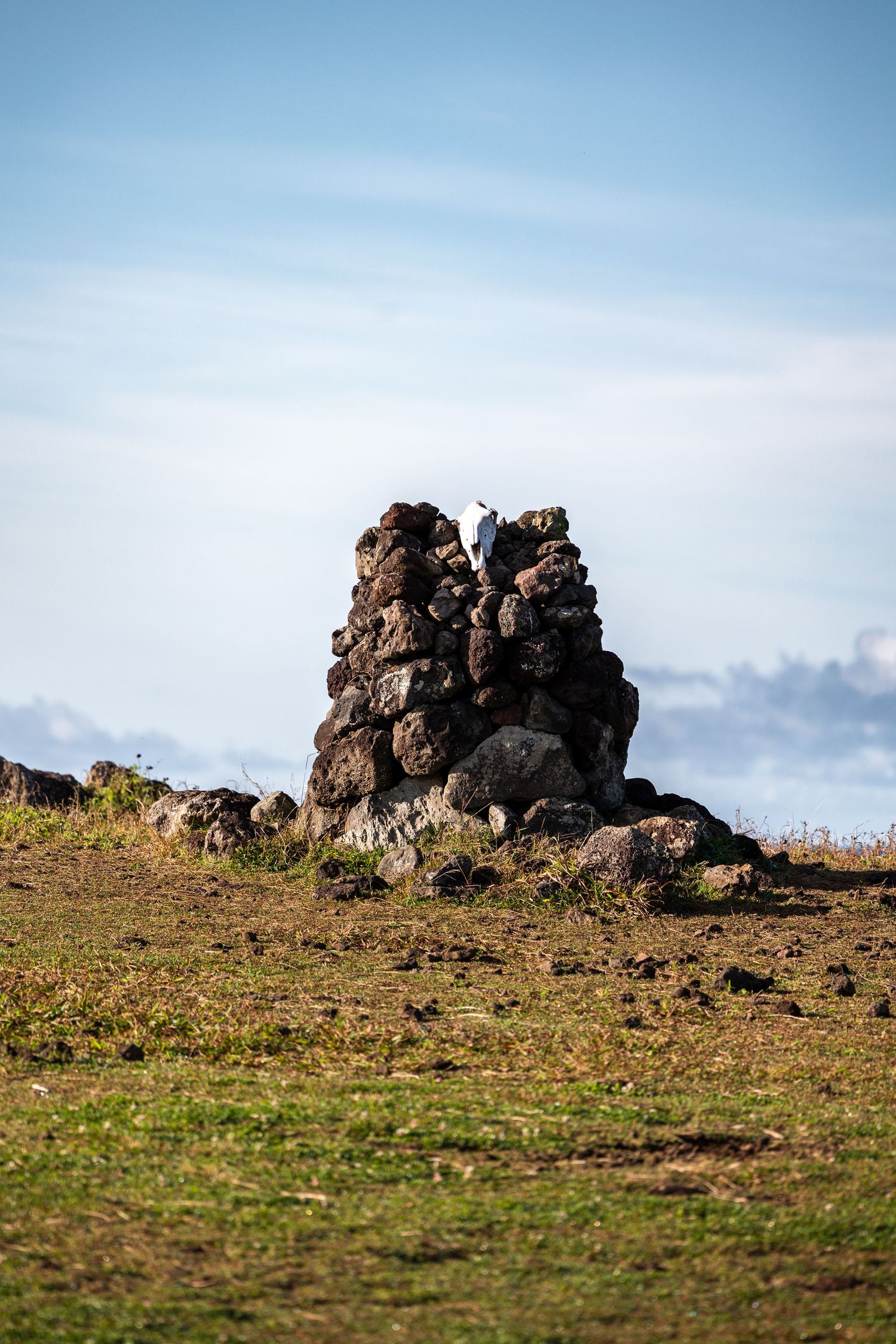 Dramatic sequence of weathered rock formations on a grassy hilltop against a blue sky background.