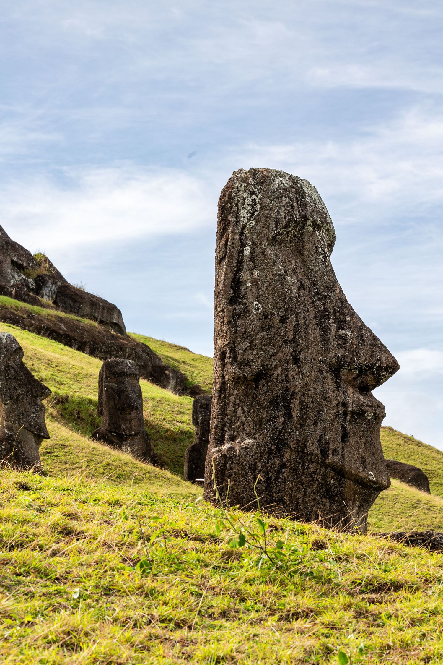 Ancient stone moai statue stands on green grassy slope at Easter Island's Rano Raraku quarry site.