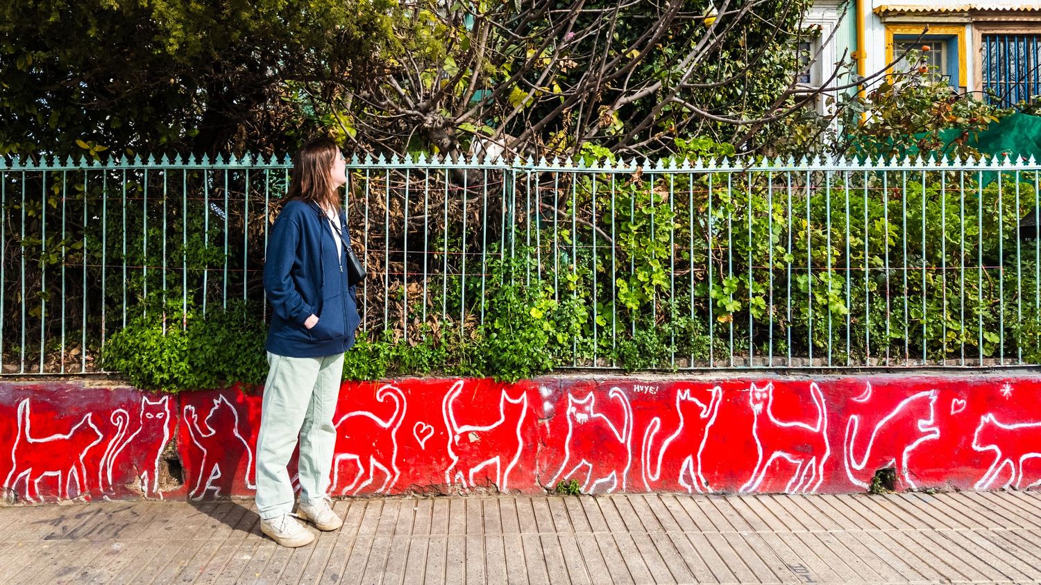 A colorful street art mural featuring a red abstract pattern spans across a long urban wall next to a fence.