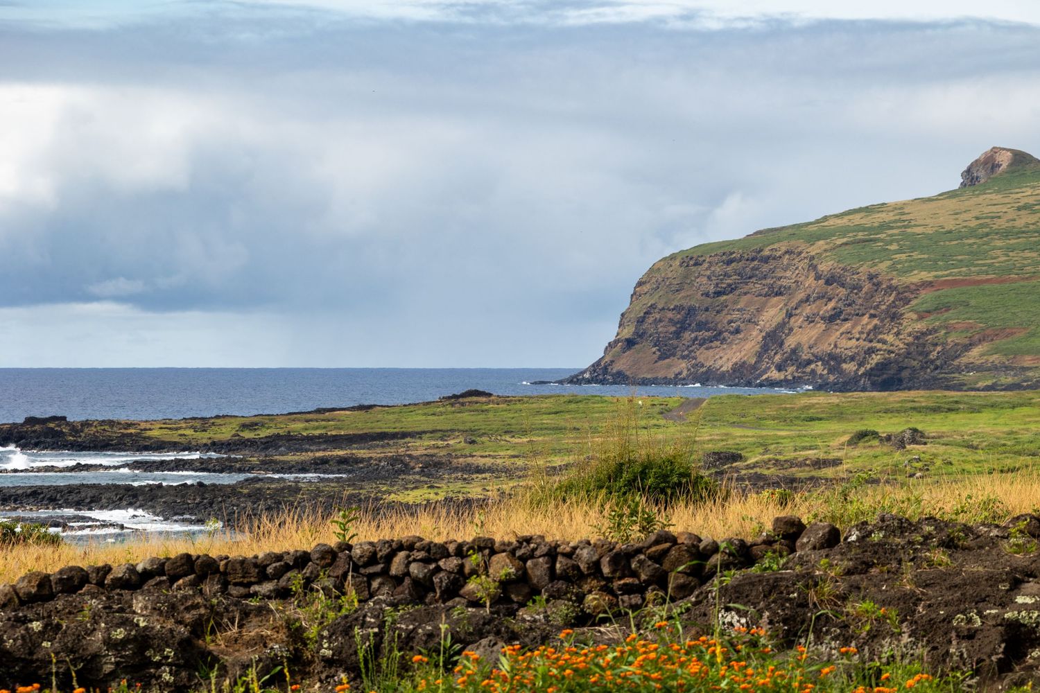 A panoramic view of the rugged coastal cliffs and green pastures of Ireland's scenic landscape during daytime.