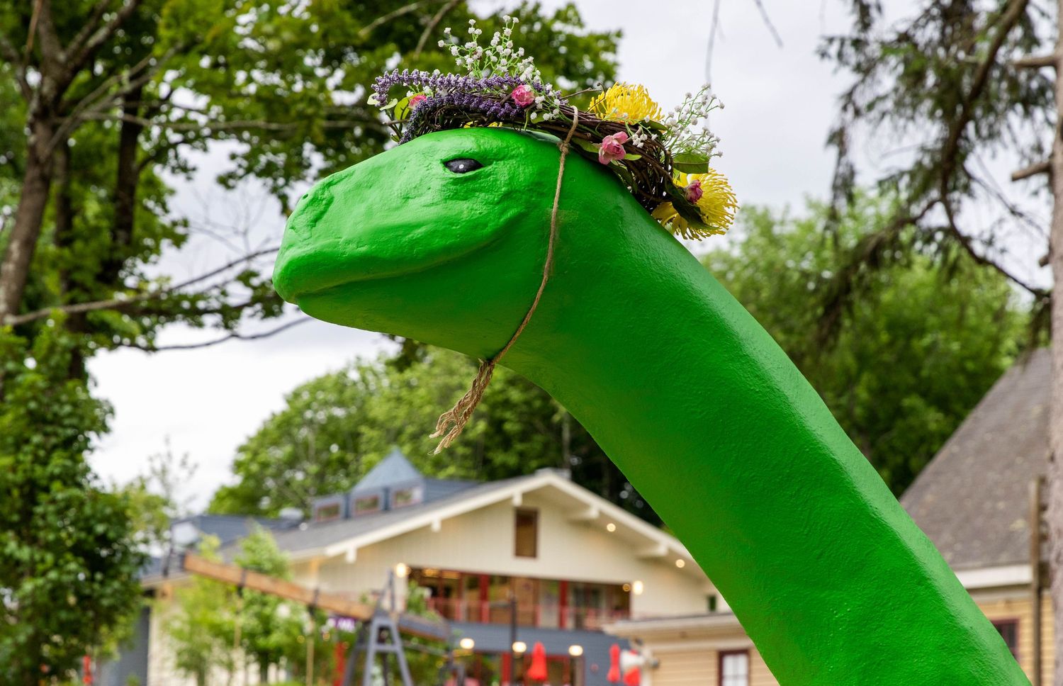 Green inflatable dinosaur costume with long neck seen multiple times dancing and posing in residential neighborhood.