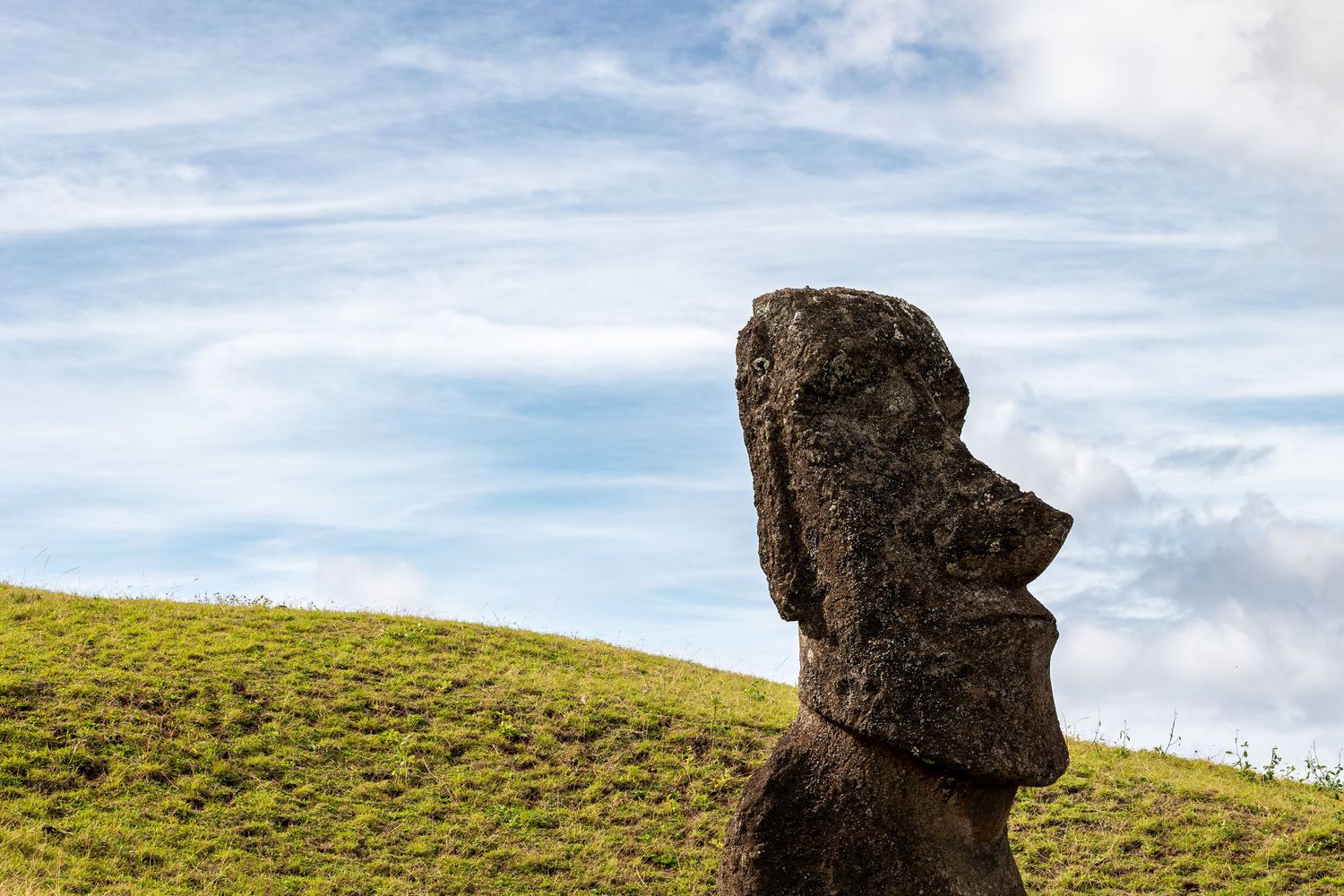 Ancient moai statue stands against blue sky on grassy hill at Easter Island.