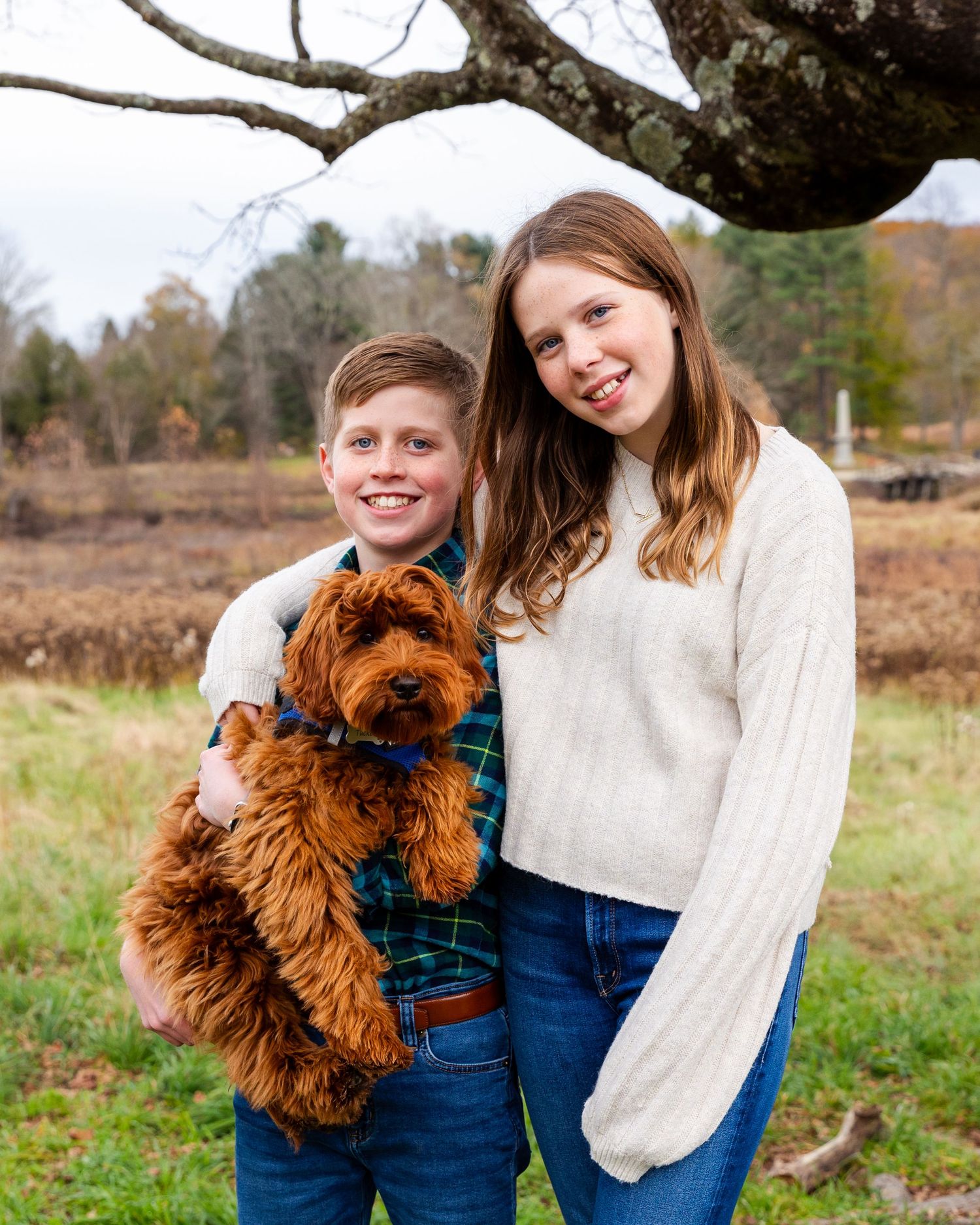 A brown goldendoodle dog wearing a plaid bandana poses with two companions in a fall field setting.