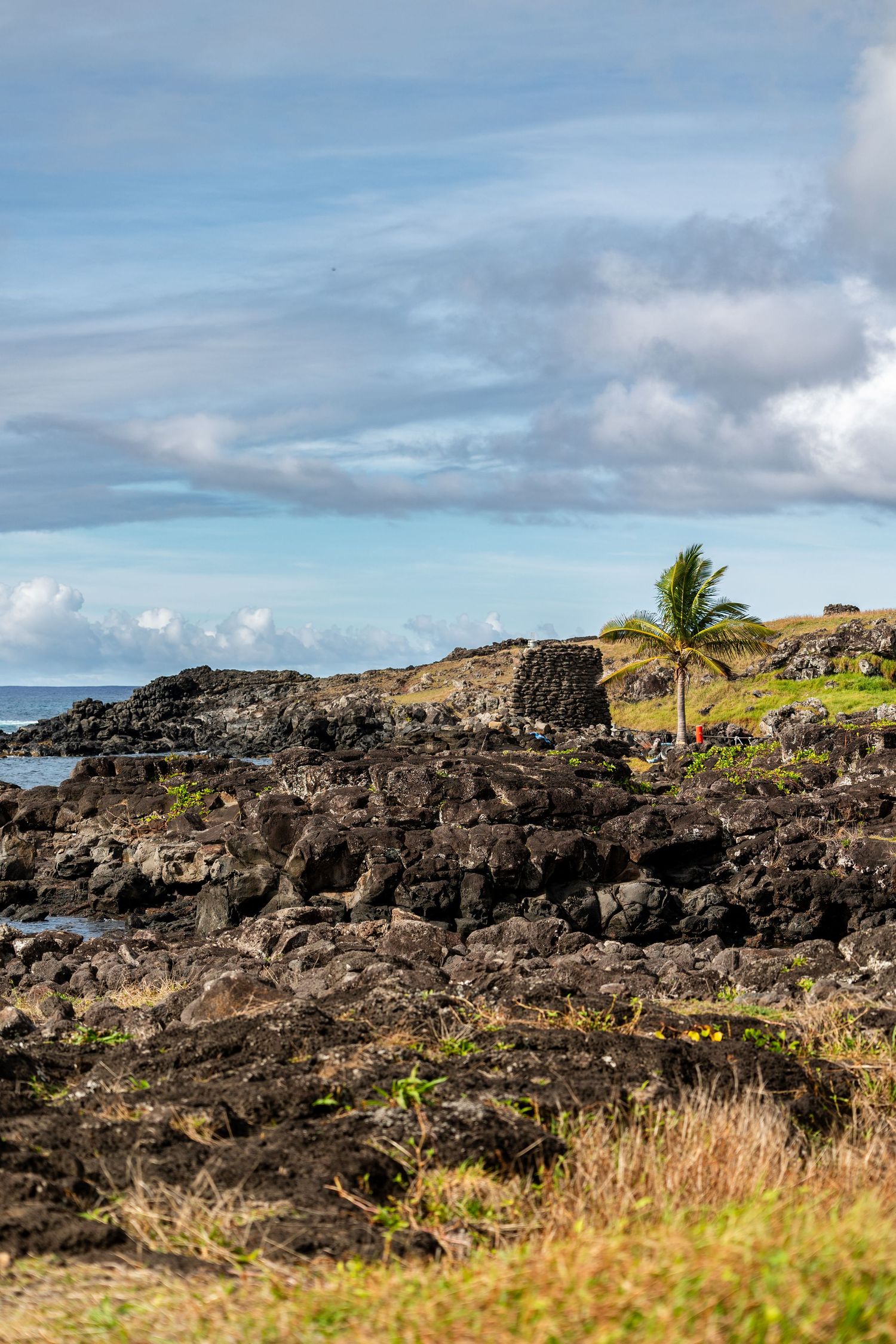 Rocky Hawaiian coastline with volcanic rocks, grassy patches, and a palm tree under blue skies and white clouds.