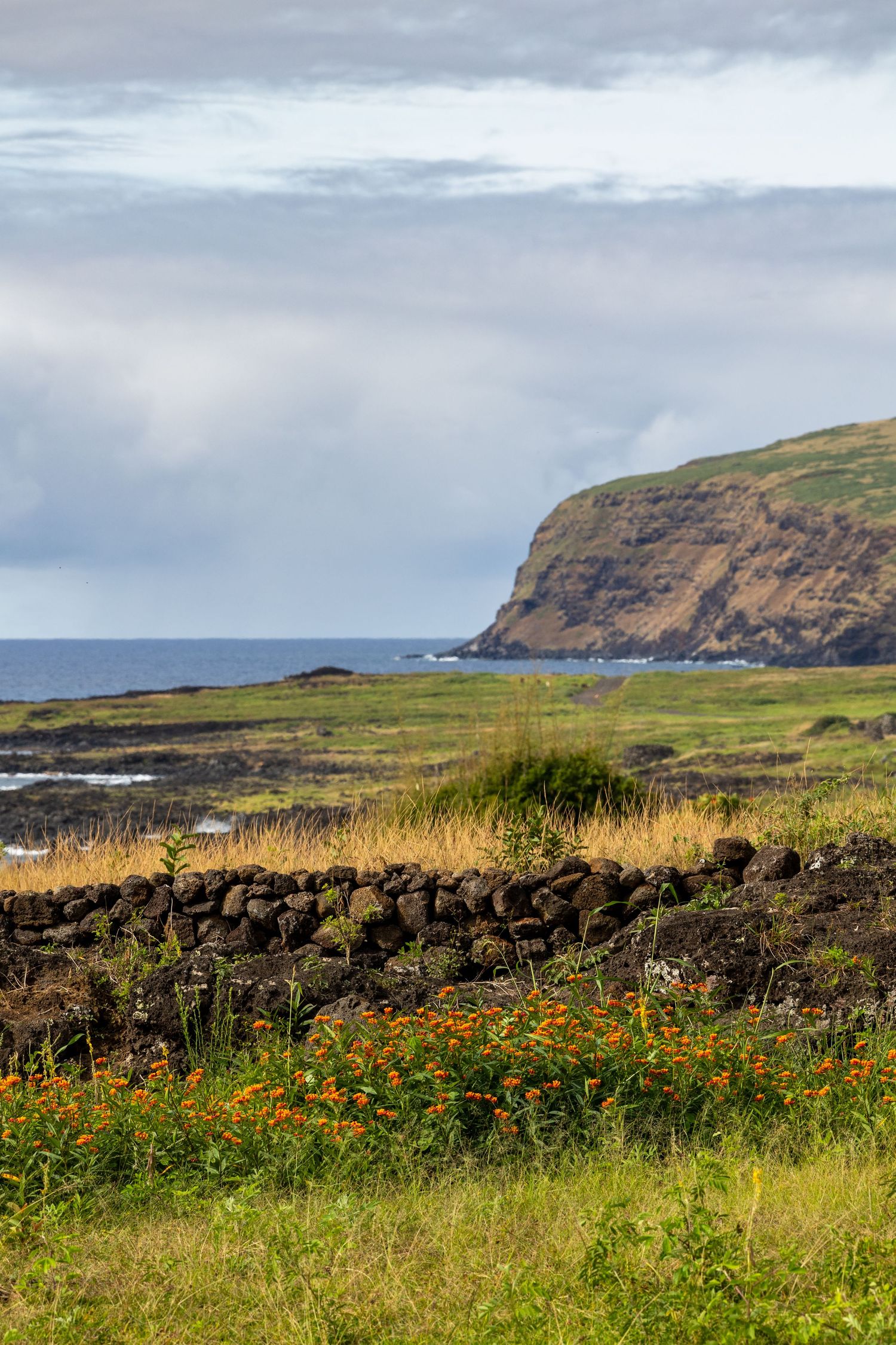 Dramatic coastal landscape in Ireland with stone wall, wildflowers, and rugged cliffs overlooking the ocean under cloudy skies.