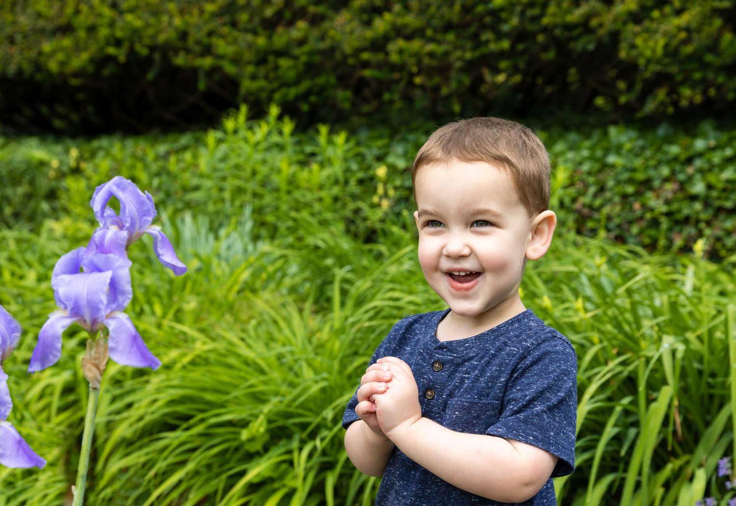 A smiling child plays in a garden with blooming purple iris flowers during a bright summer day.
