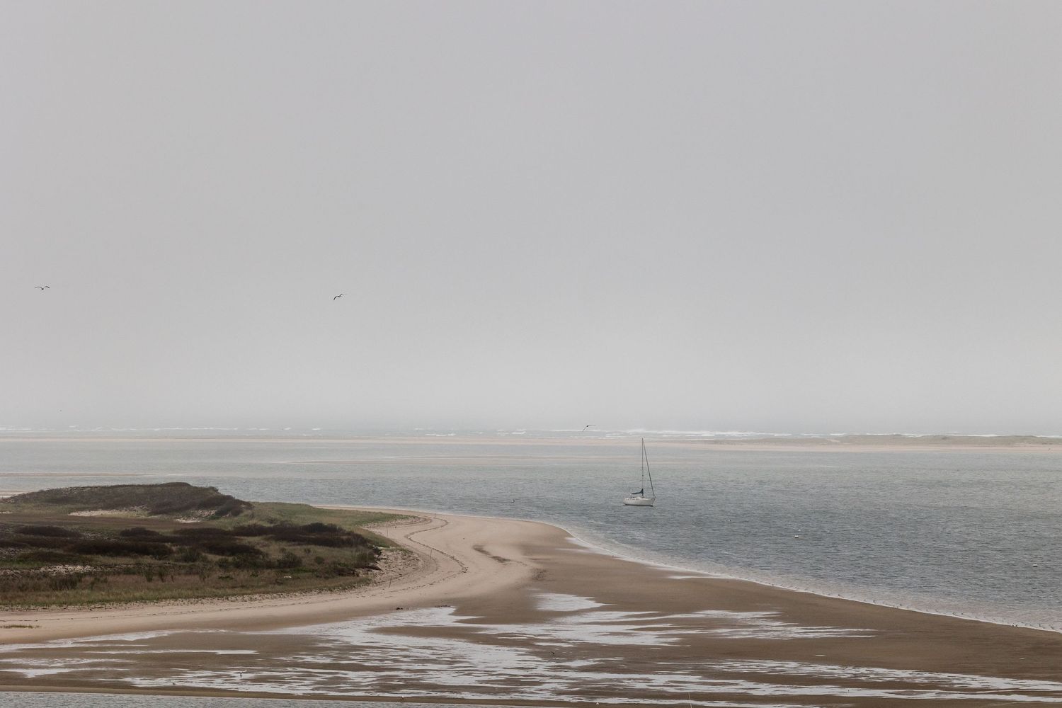 Moody coastal landscape with sandy beach and sailboat in the distance under an overcast gray sky.