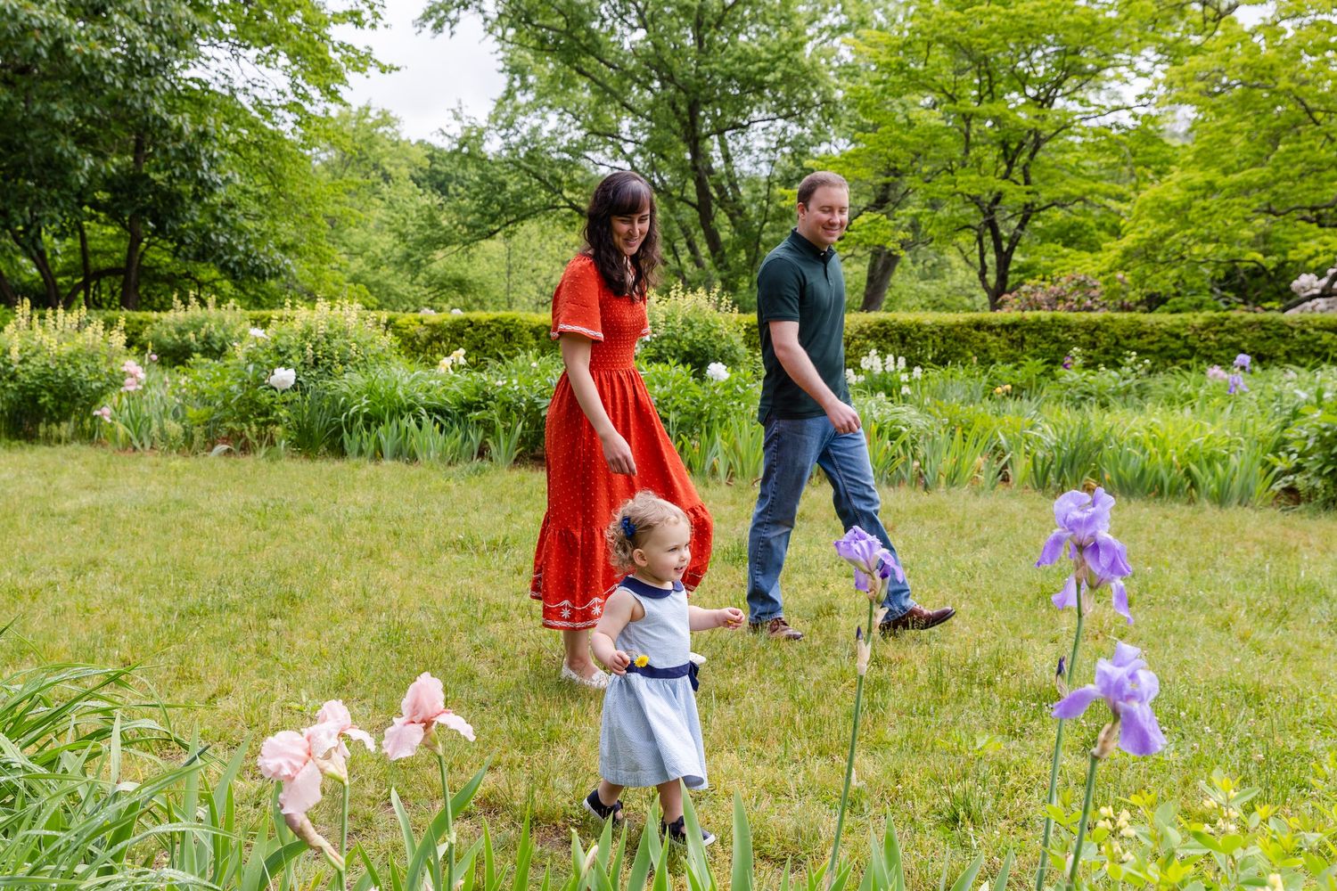 Scenic family walk through a blooming garden with purple irises in the foreground on a summer day.