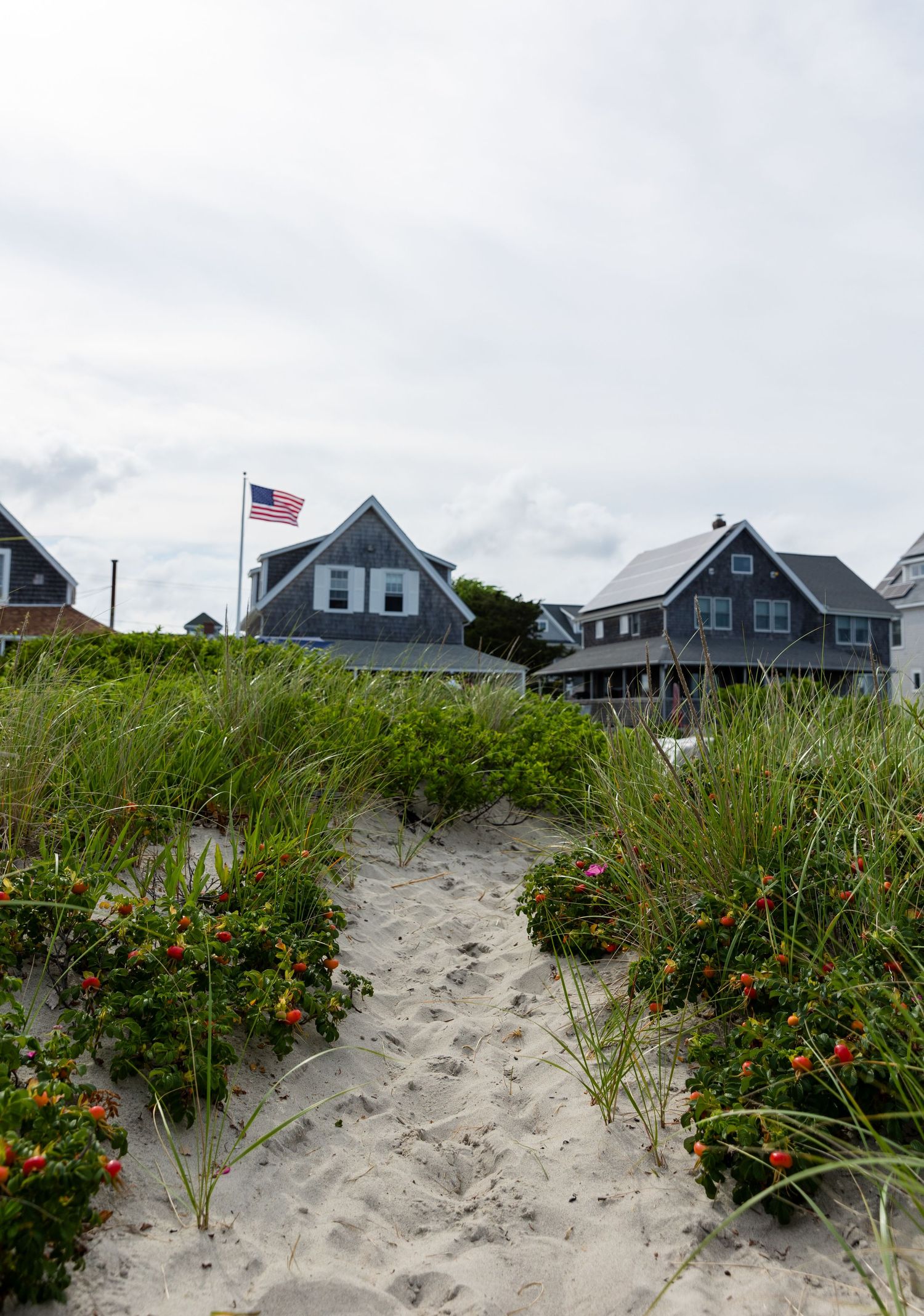 Sandy beach path with wildflowers leads to gray coastal homes with an American flag flying on Cape Cod.