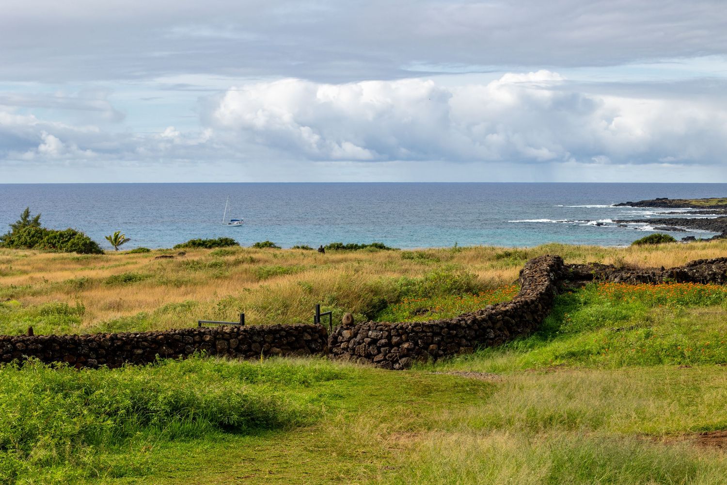 Rolling green coastal landscape with stone walls overlooking a dramatic seascape and cloudy horizon in Ireland.