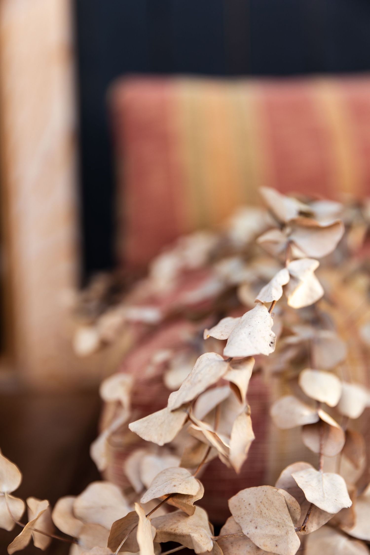Delicate dried hydrangea petals in soft beige tones create an ethereal floral texture with shallow depth of field.