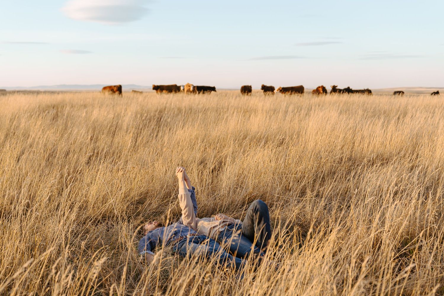 A white dress lies in tall prairie grass with cattle silhouettes on the horizon at sunset.